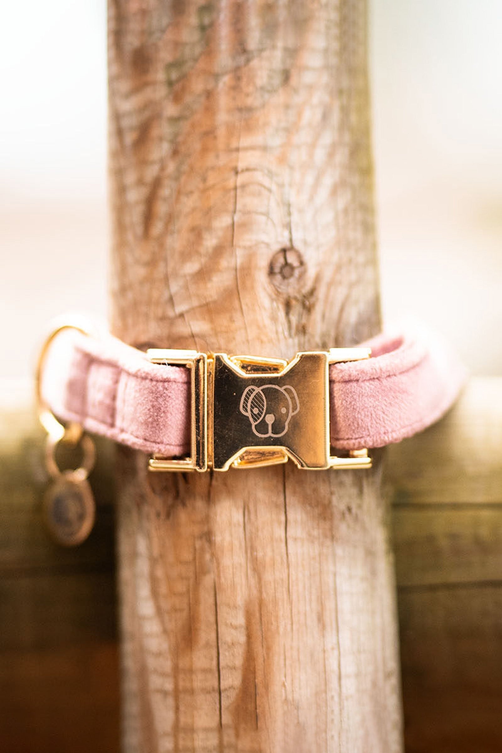 Kentucky Dogwear Dog Collar Velvet Dog Accesories