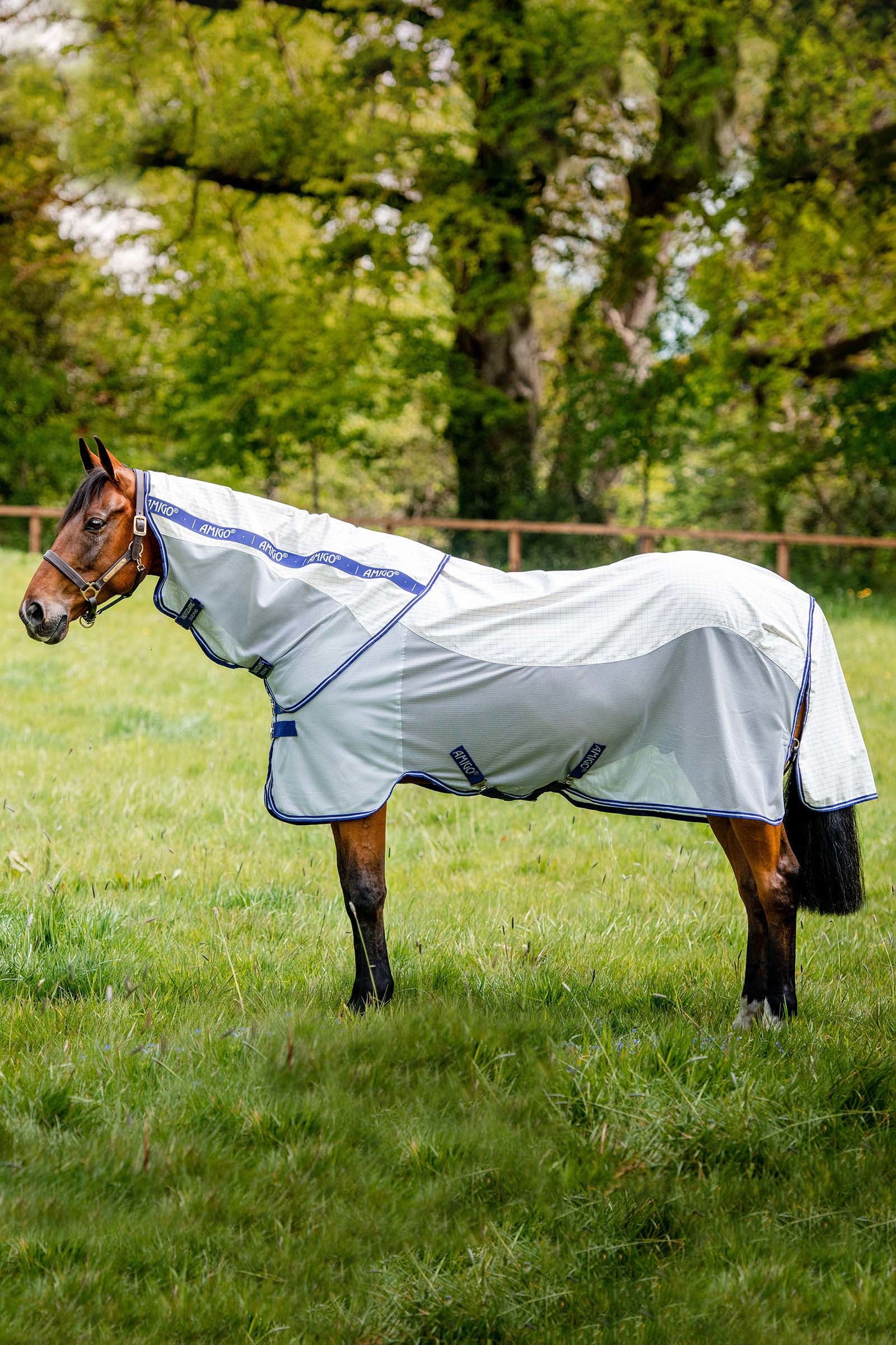 Horseware Amigo Airflow Fly Rug With Detachable Neck Horse Rugs
