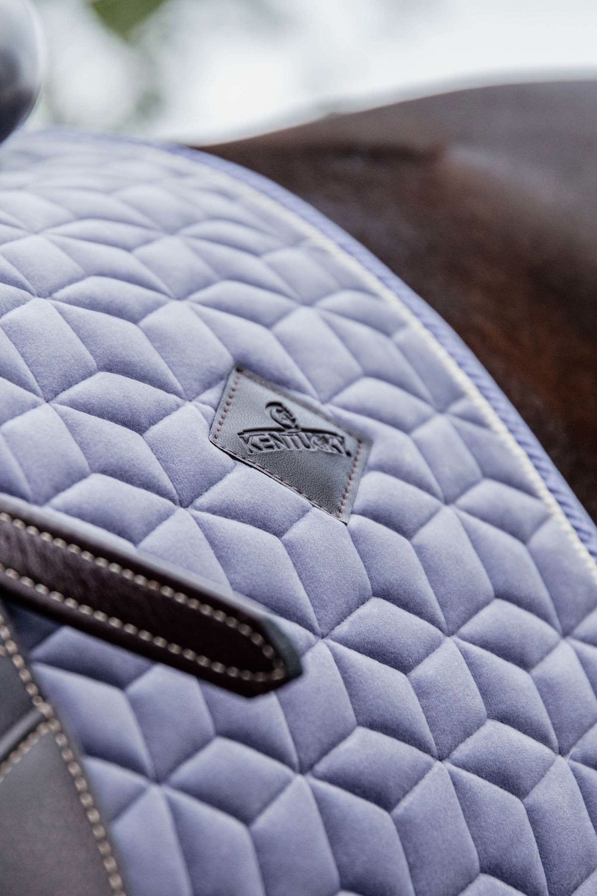 Kentucky Horsewear Velvet Dressage Saddle Pad Saddle Pads