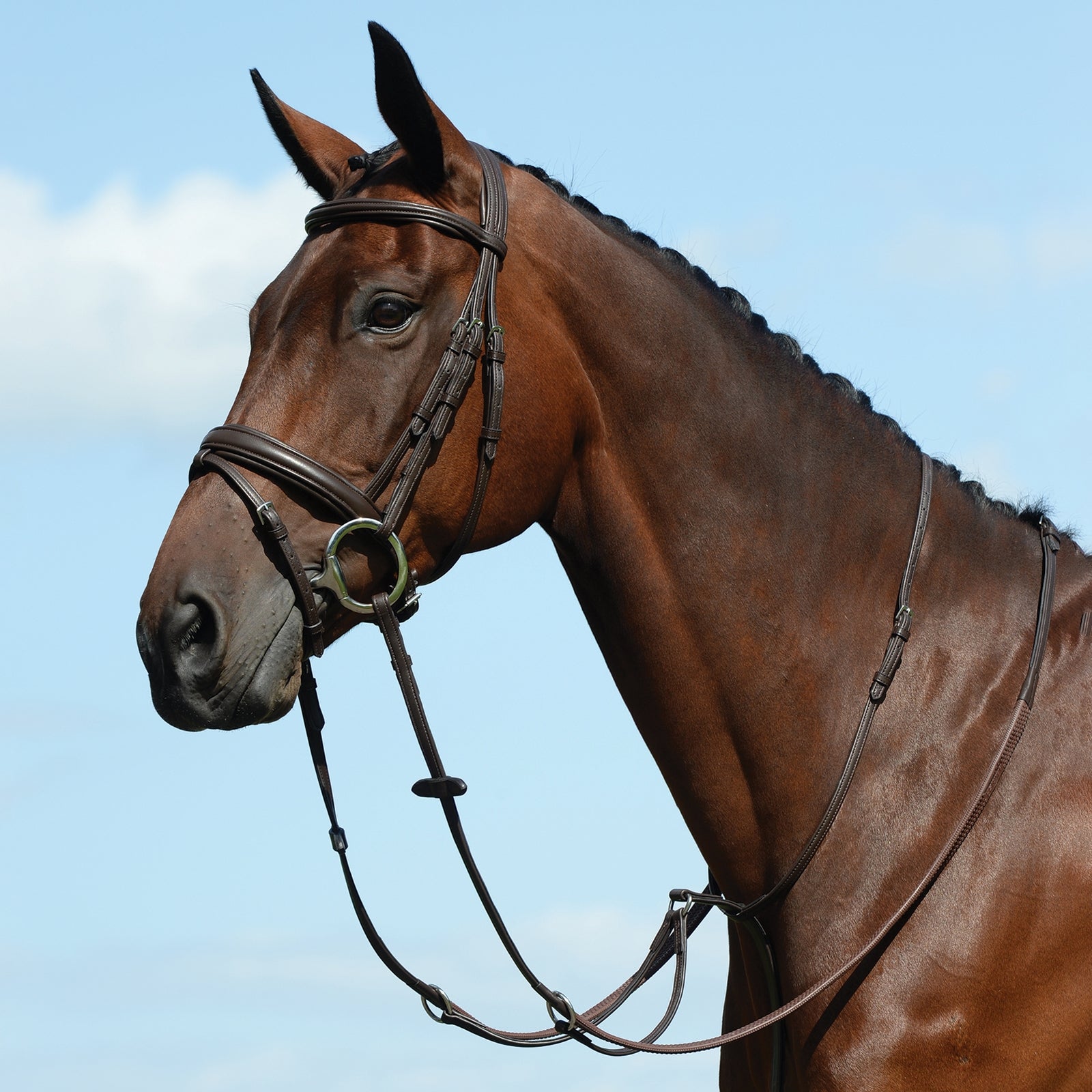 Collegiate Syntovia+ Plain Flat Running Martingale Bridles & Reins
