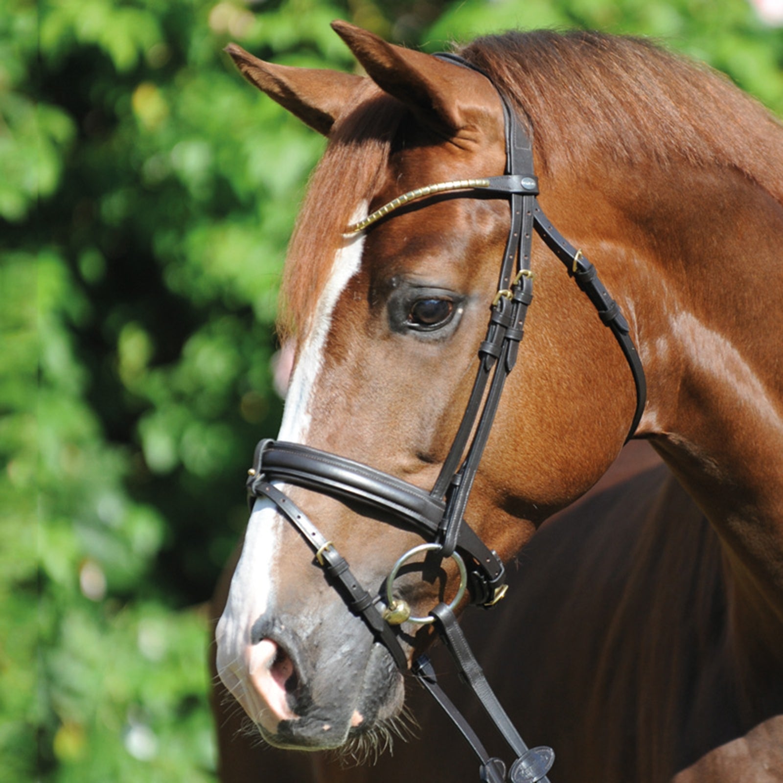Kavalkade Clinchesse Bridle Bridles & Reins