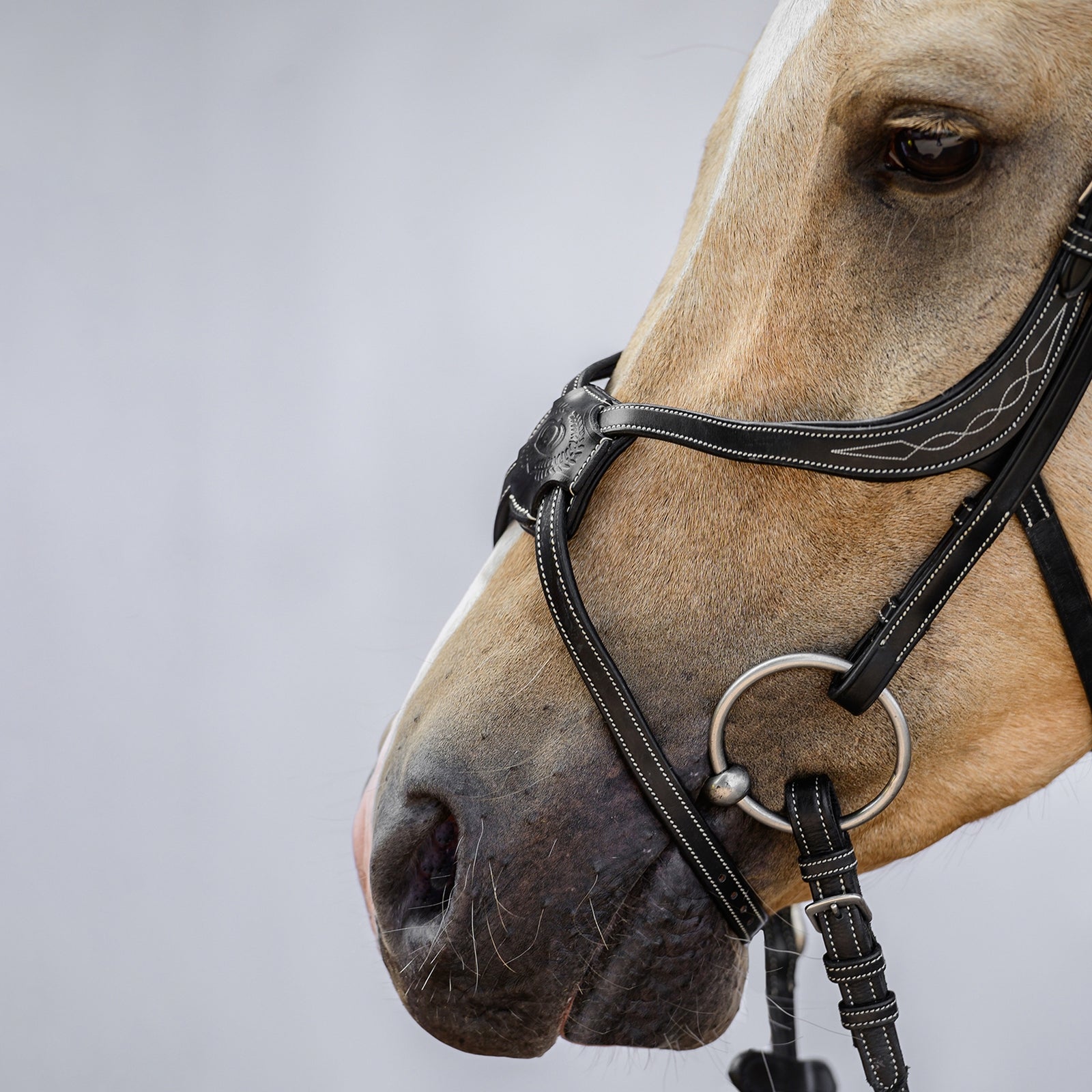 PS of Sweden Athens Mexican Bridle Bridles & Reins