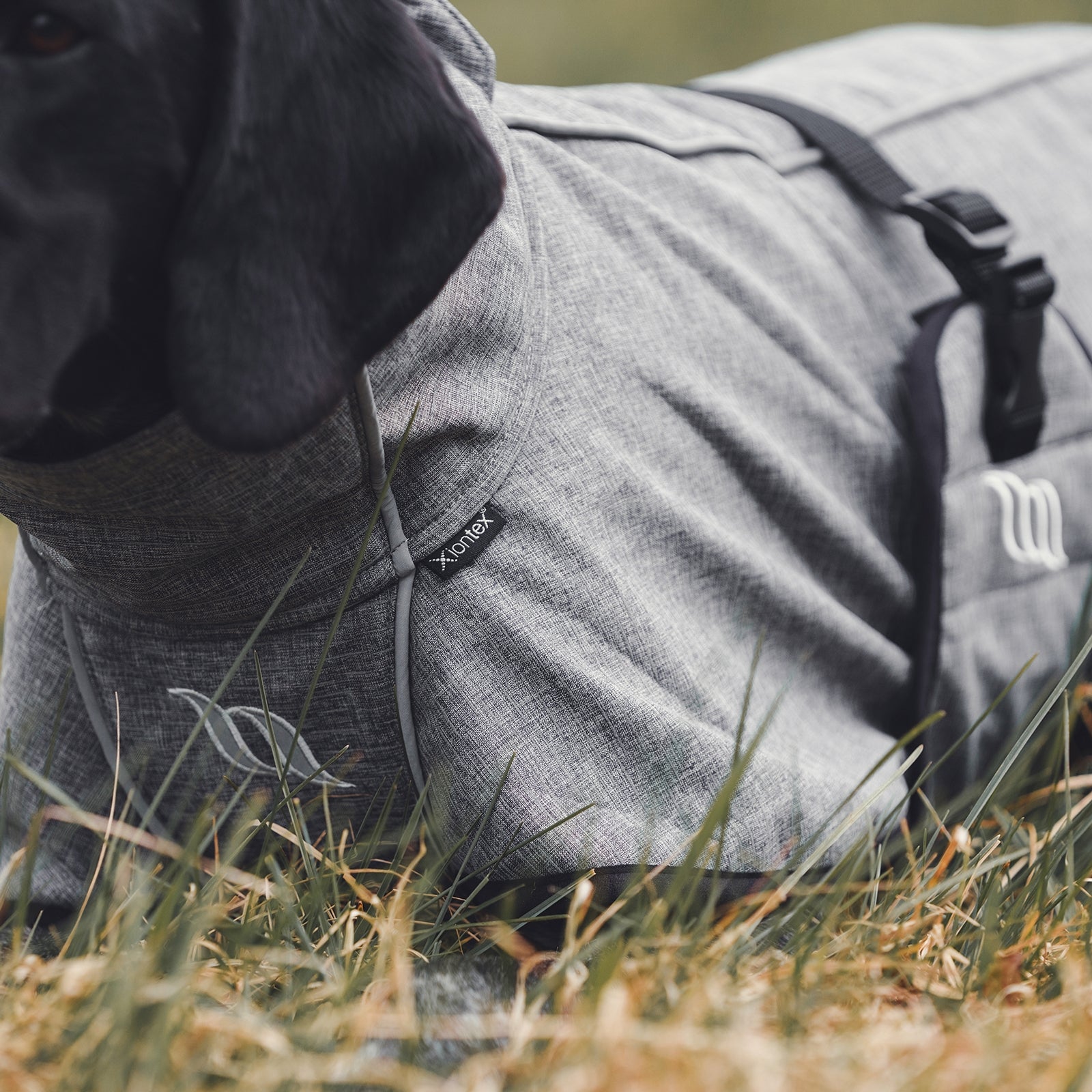 Back on Track Bark All-Round Dog Coat, 55-65cm Dog Accesories