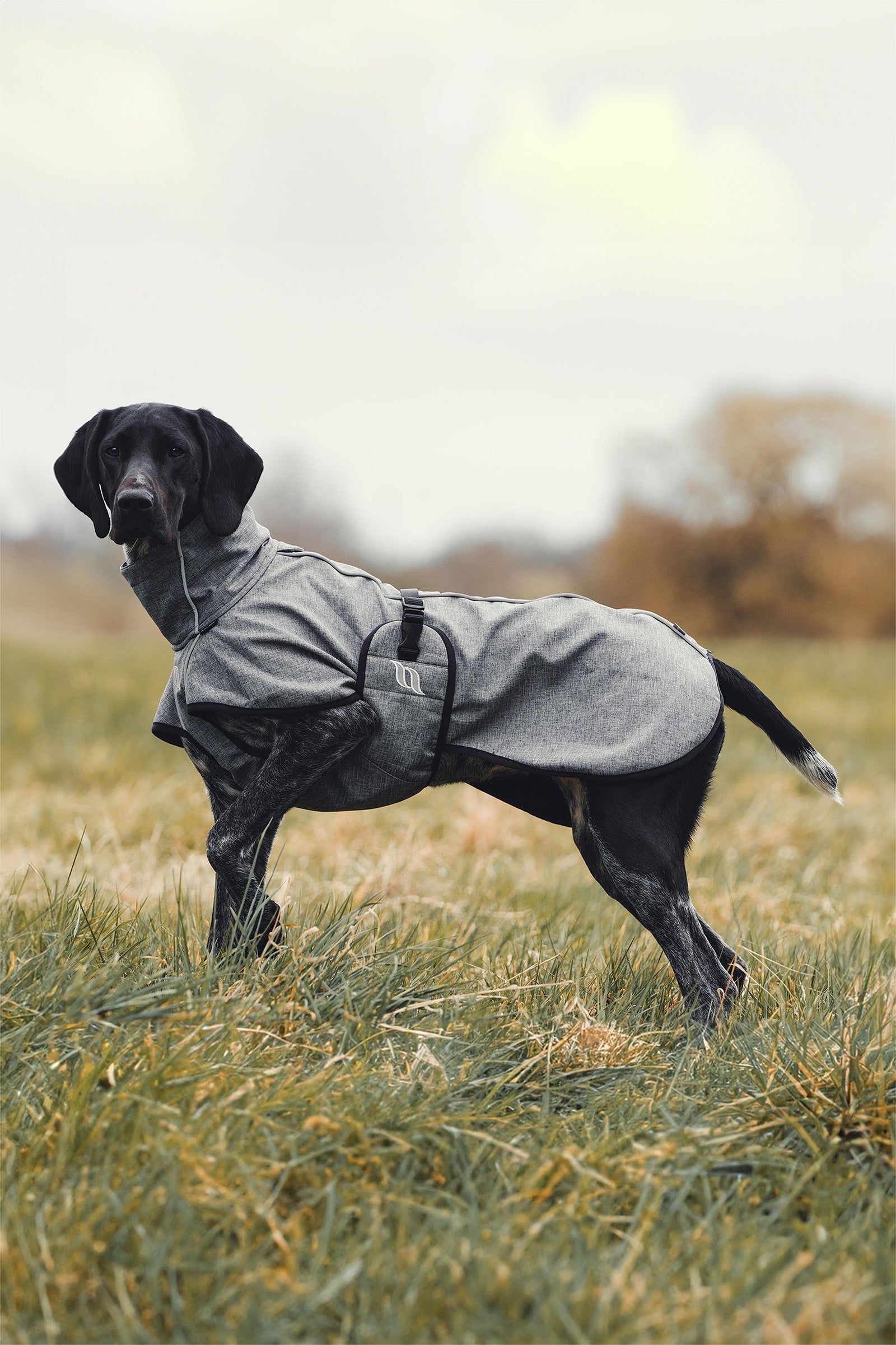 undefined Back on Track Bark All-Round Dog Coat, 85-90cm Dog Accesories