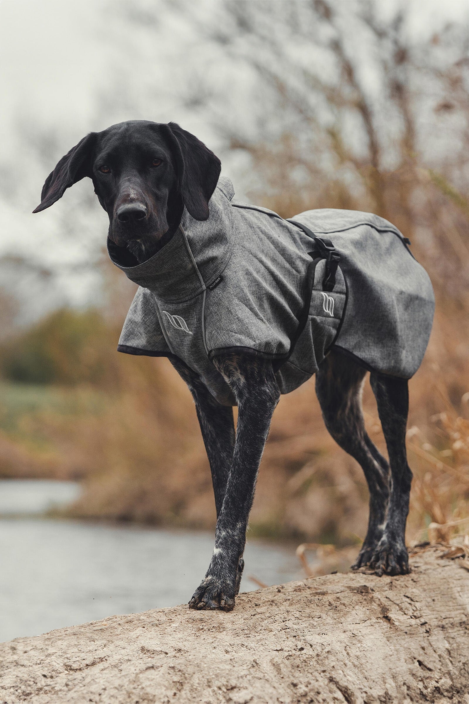 undefined Back on Track Bark All-Round Dog Coat, 85-90cm Dog Accesories