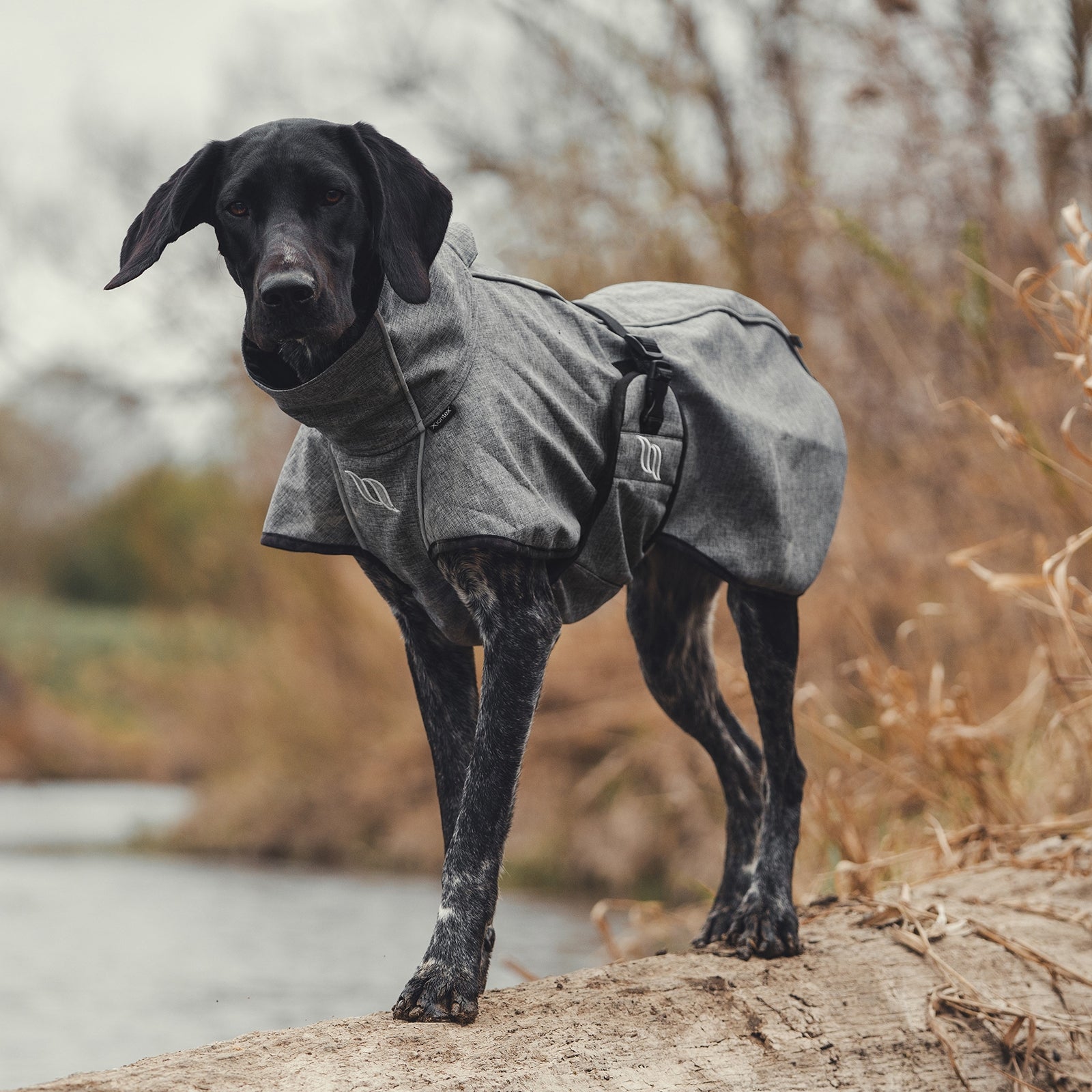 undefined Back on Track Bark All-Round Dog Coat, 85-90cm Dog Accesories
