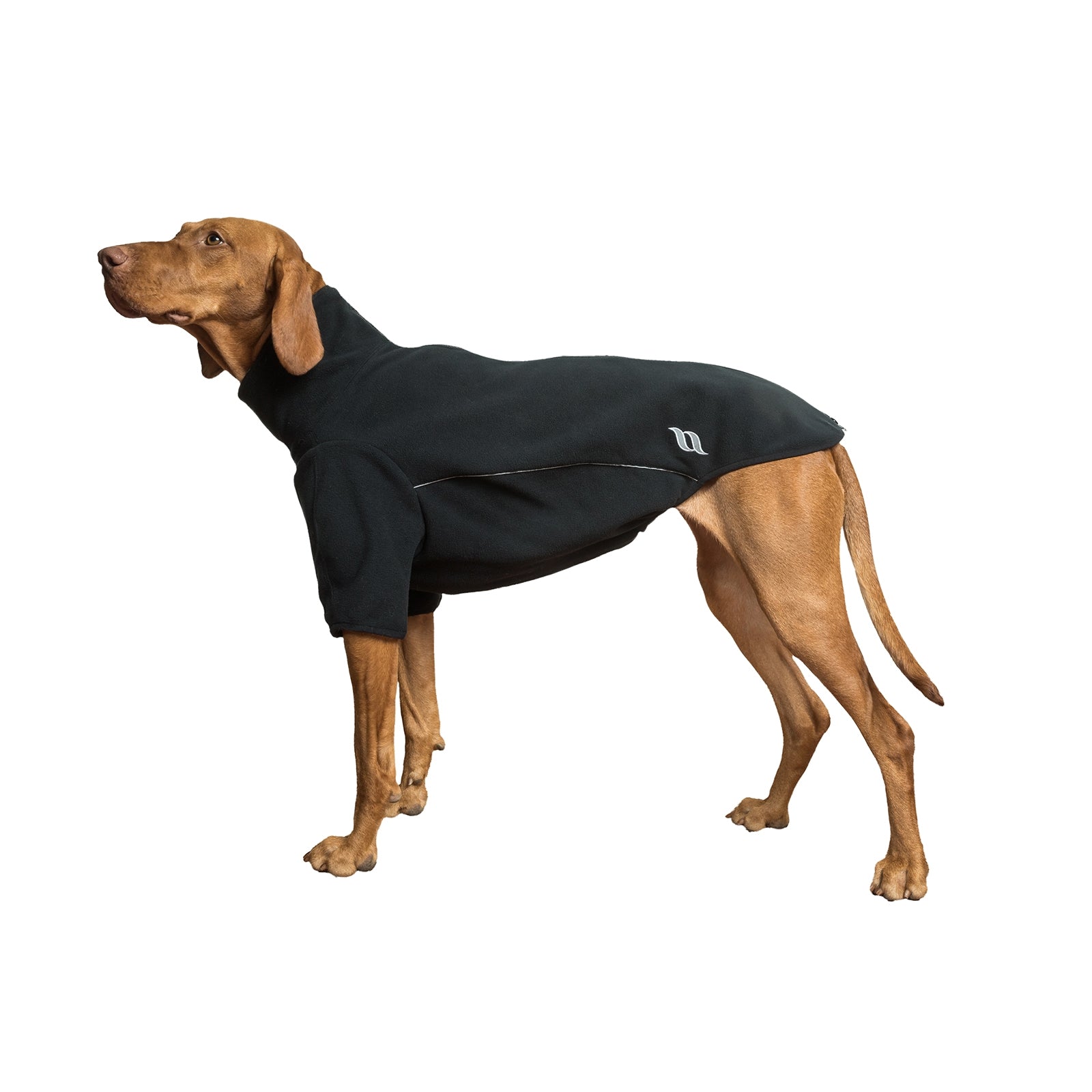 Back on Track Cassie All-Weather Jumper, 35-40cm Dog Accesories