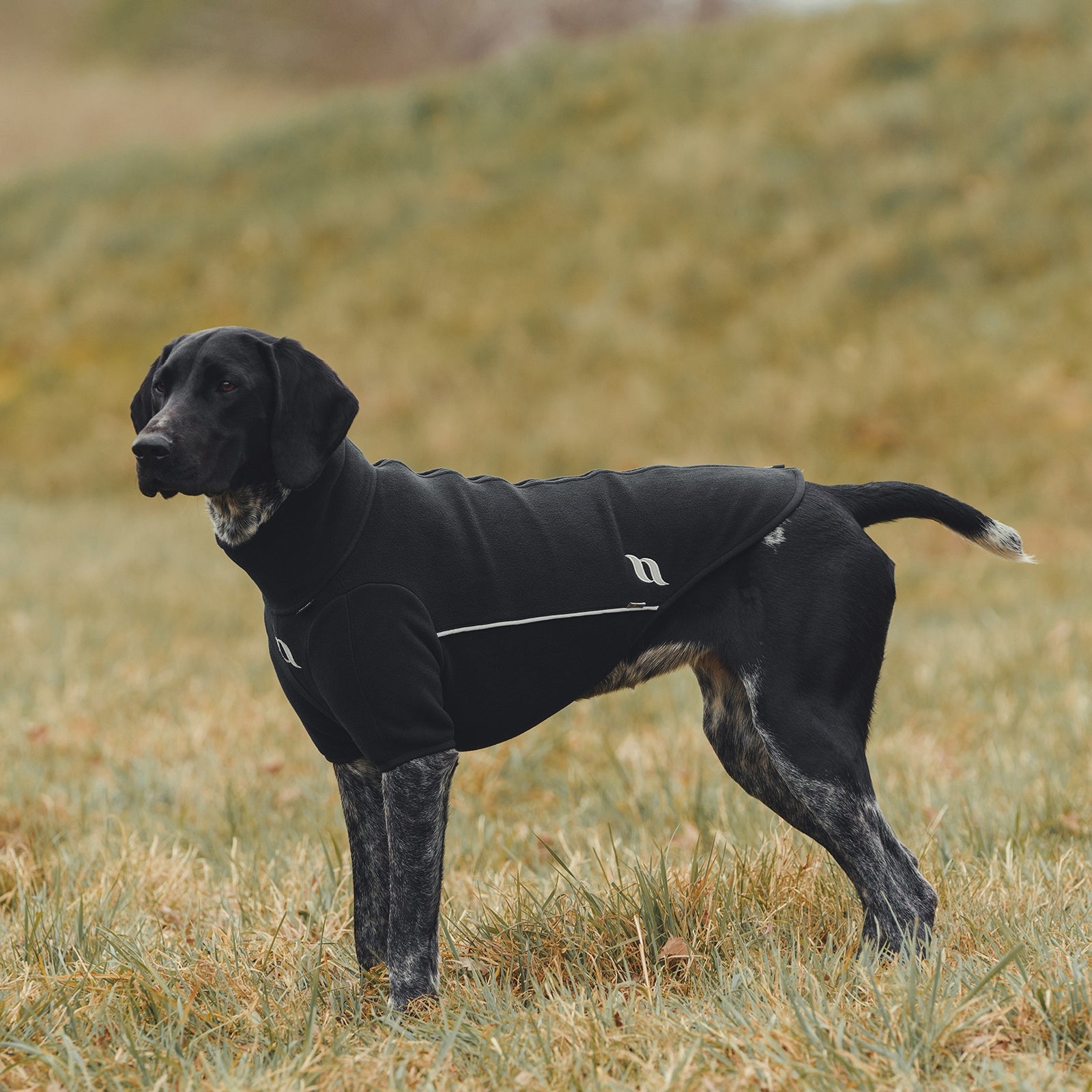 Back on Track Cassie All-Weather Jumper, 35-40cm Dog Accesories