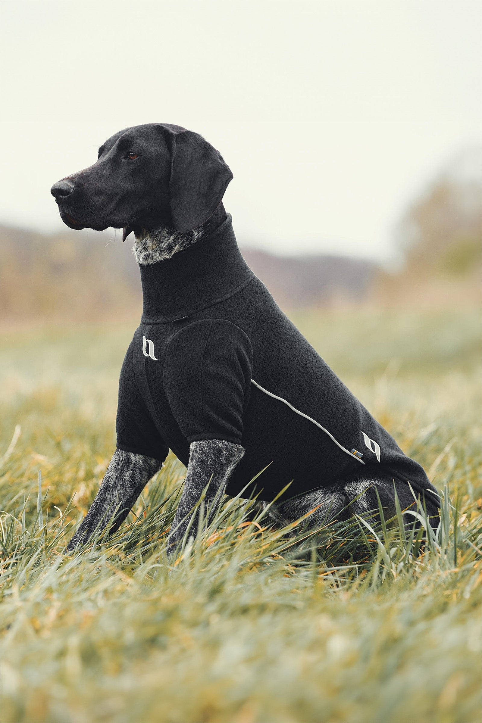 Back on Track Cassie All-Weather Jumper, 45-50cm Dog Accesories