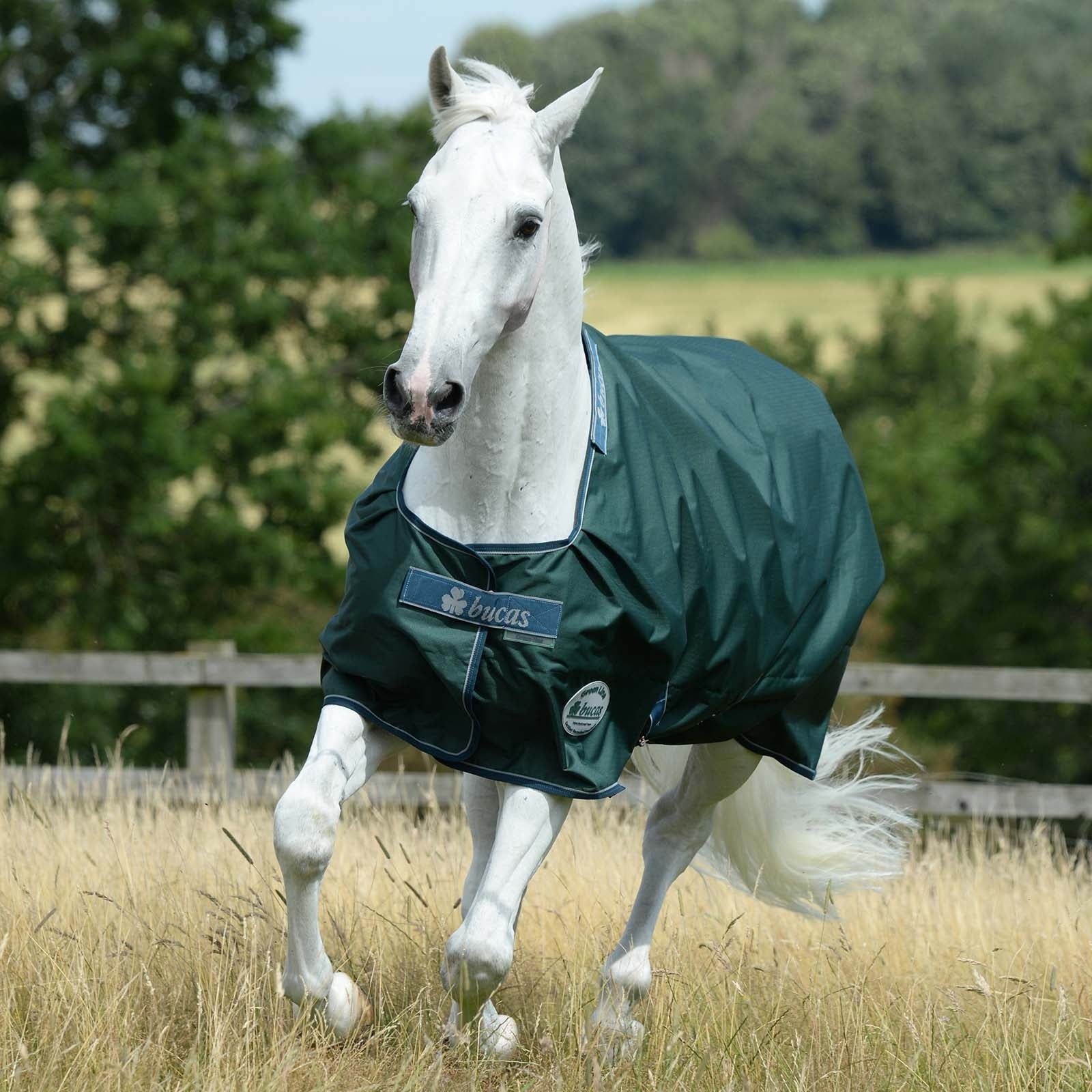 Bucas Green-Line Turnout 100g Horse Rugs