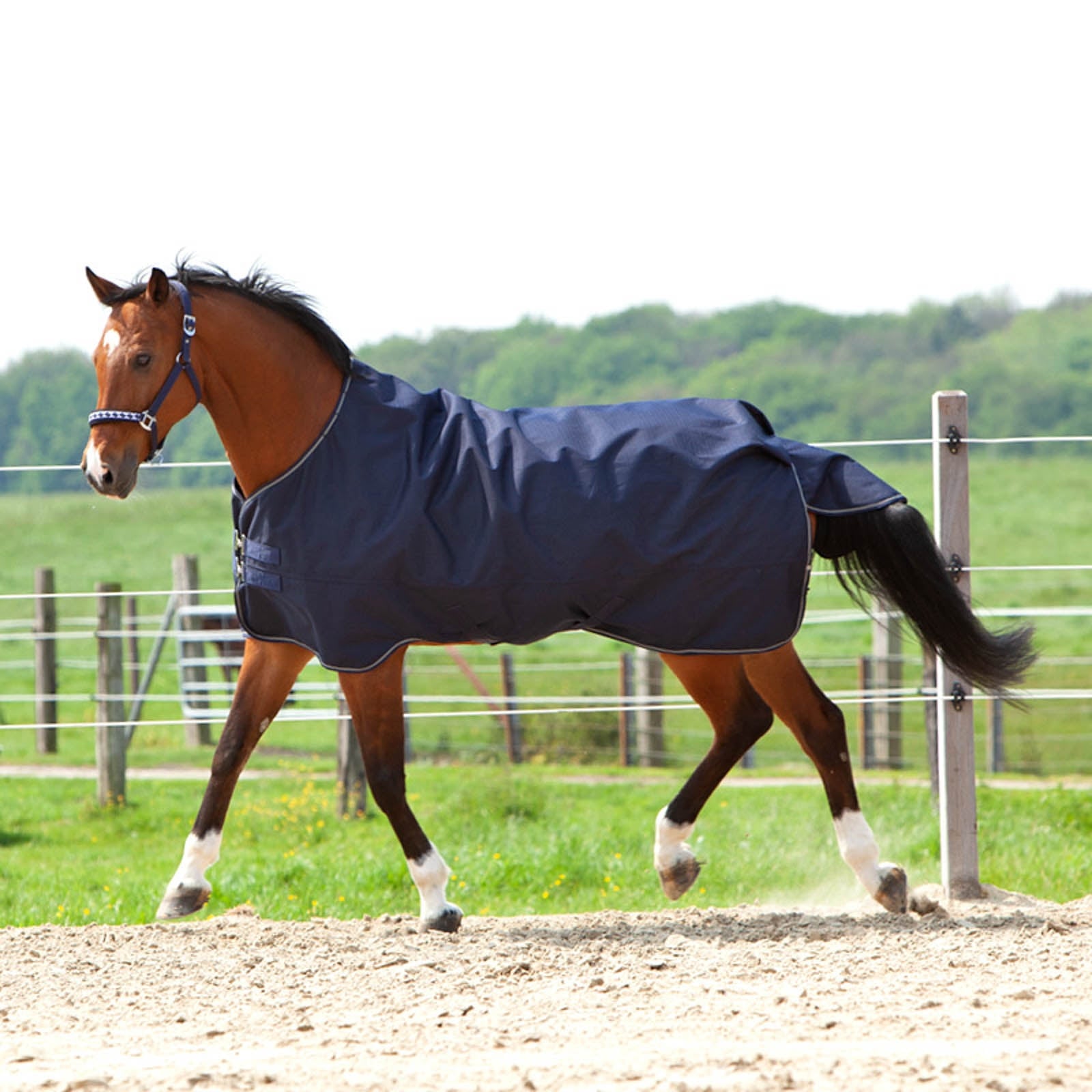 Kavalkade Montreal Turnout Rug, 200g Horse Rugs