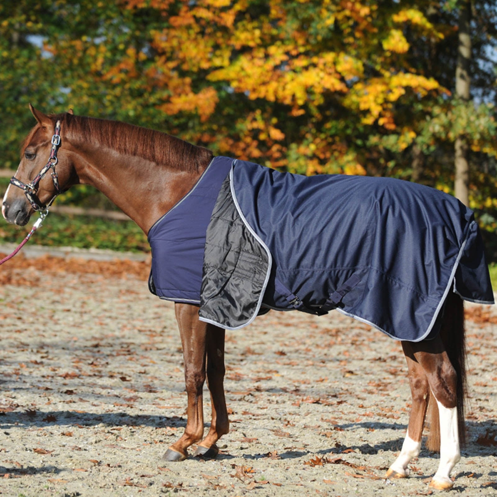 Kavalkade Under Rug 50g Horse Rugs