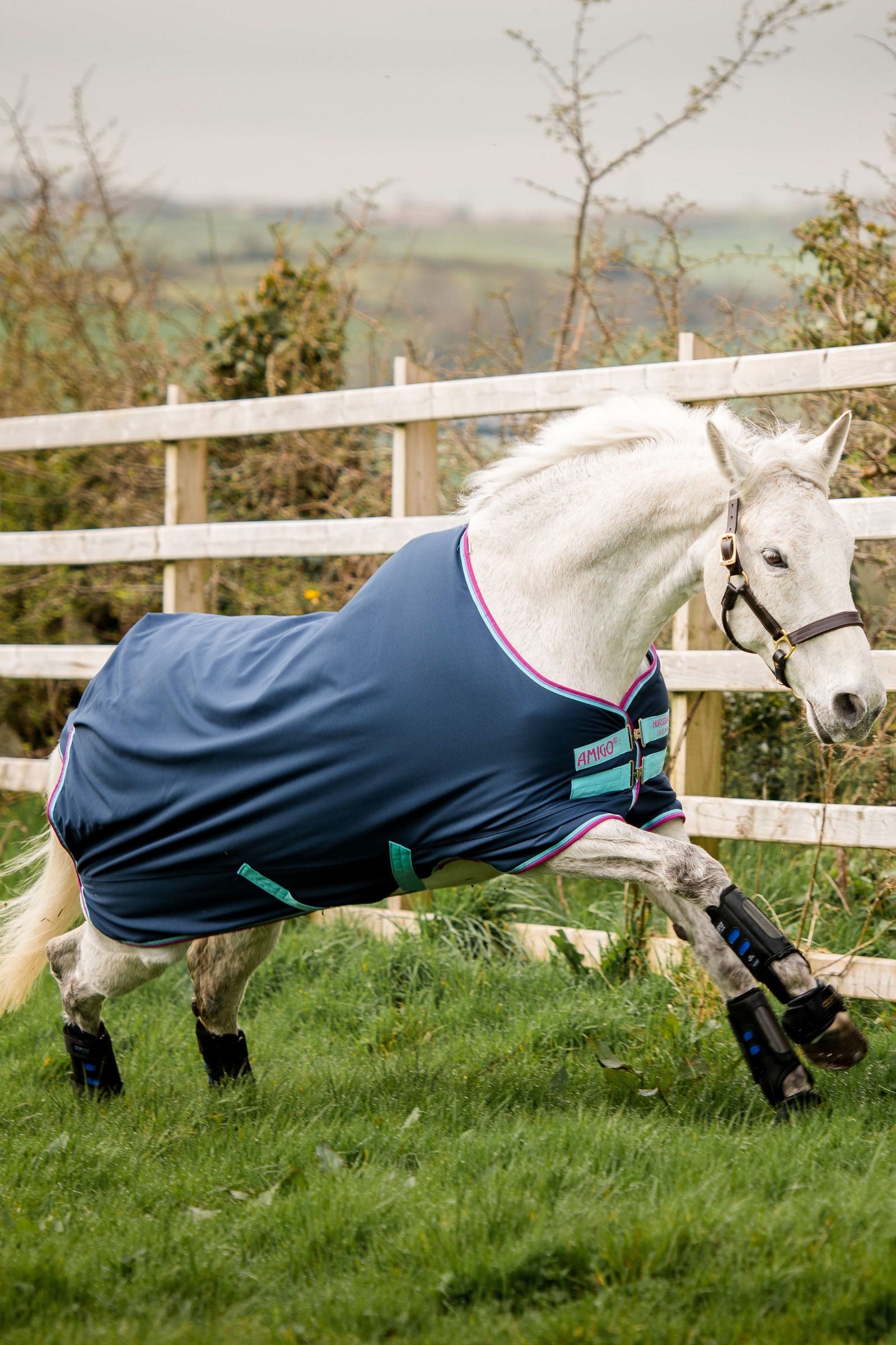 Horseware Amigo Hero 900 Pony Turnout, 200g Horse Rugs
