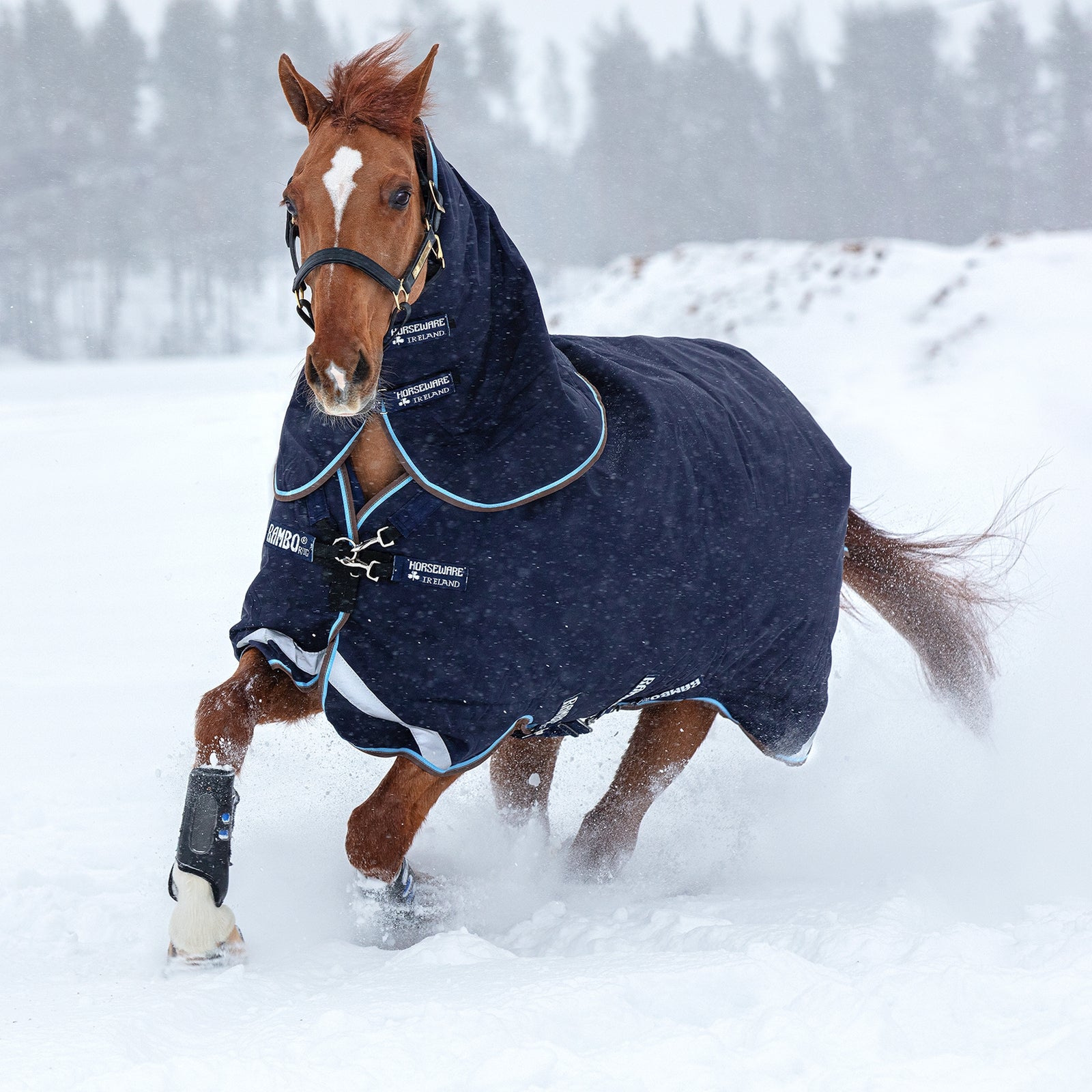 Horseware Rambo Duo Turnout incl. Detachable Hood, 100g Horse Rugs