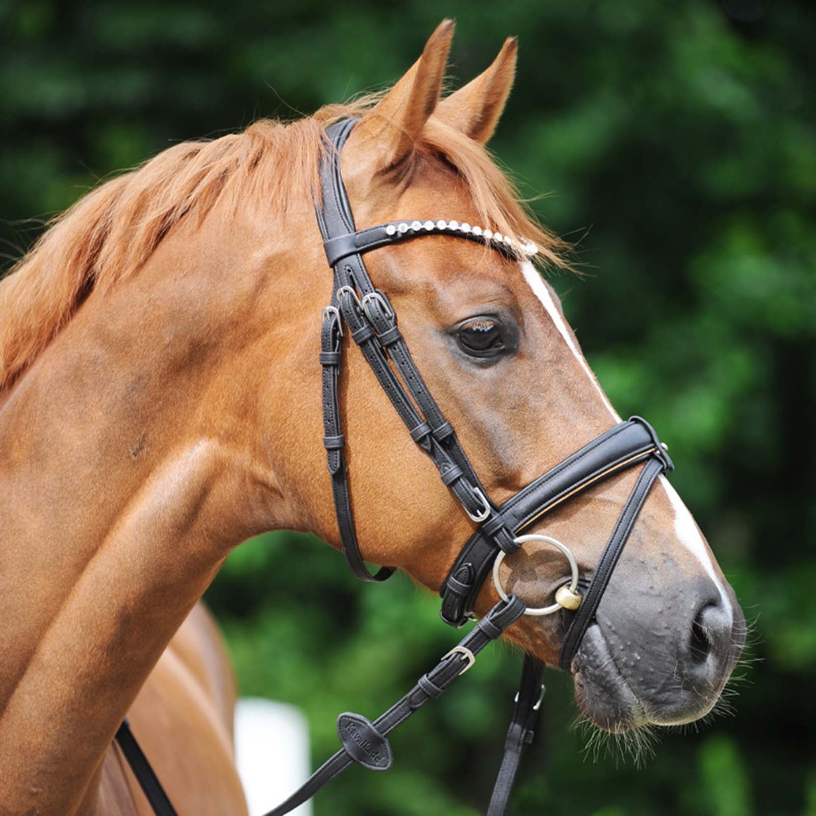 Kavalkade Cortica Vegan Cork Reins Bridles & Reins