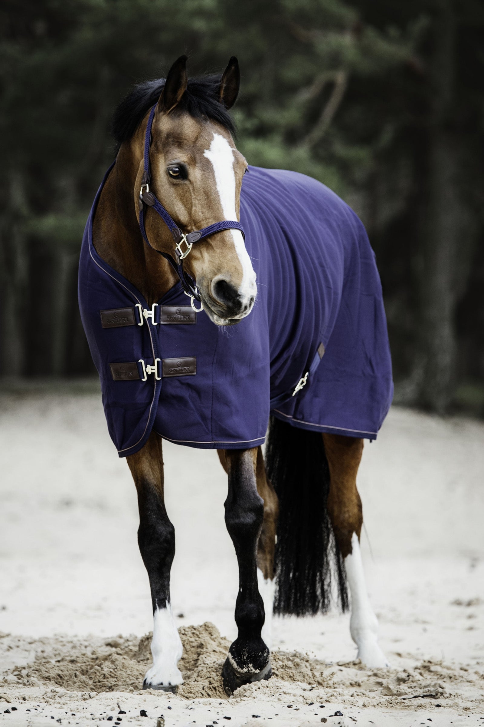 Kentucky Horsewear Tiny Fleece Cooler Horse Rugs