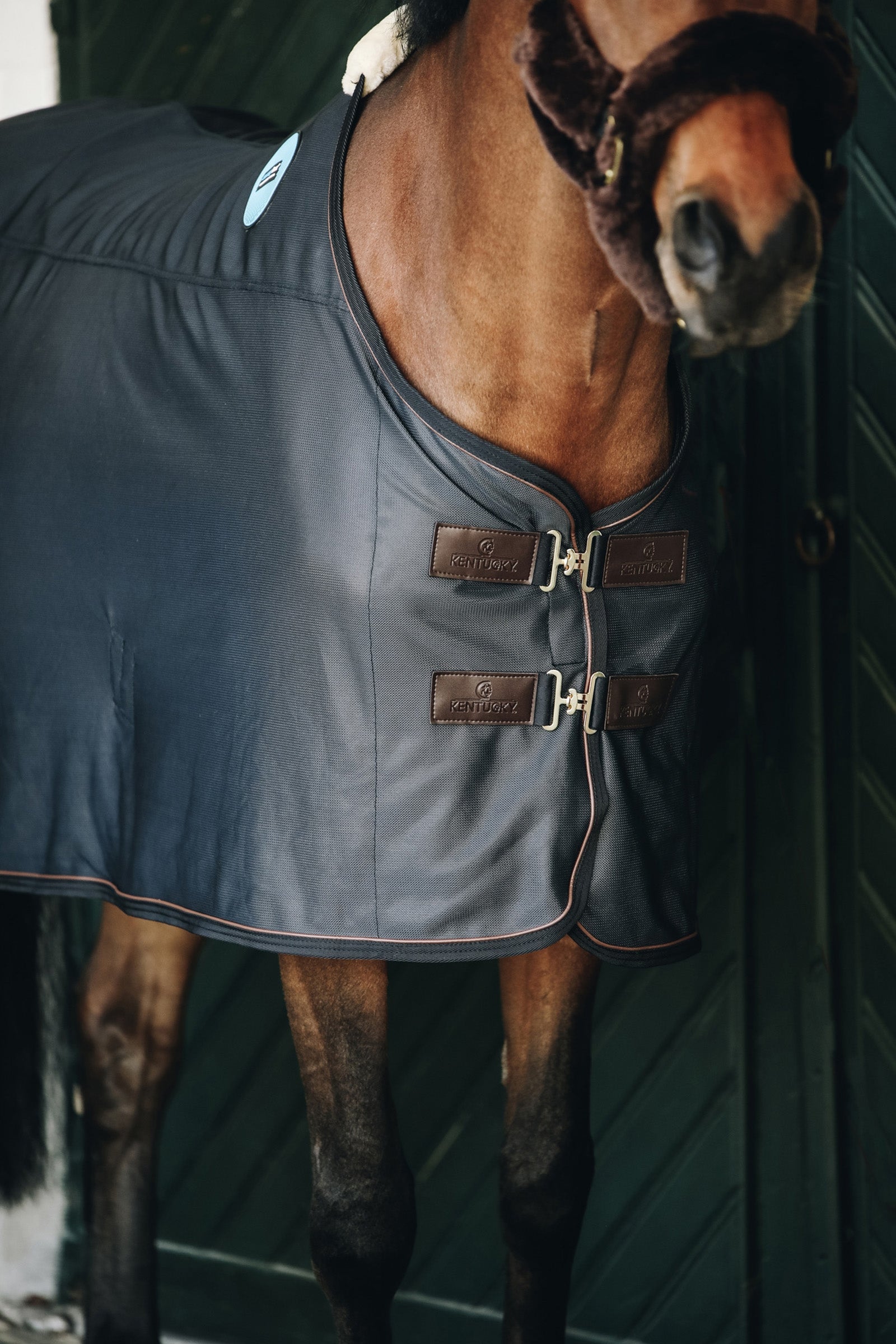 Kentucky Horsewear Tiny Recuptex Magnetic Rug Horse Rugs