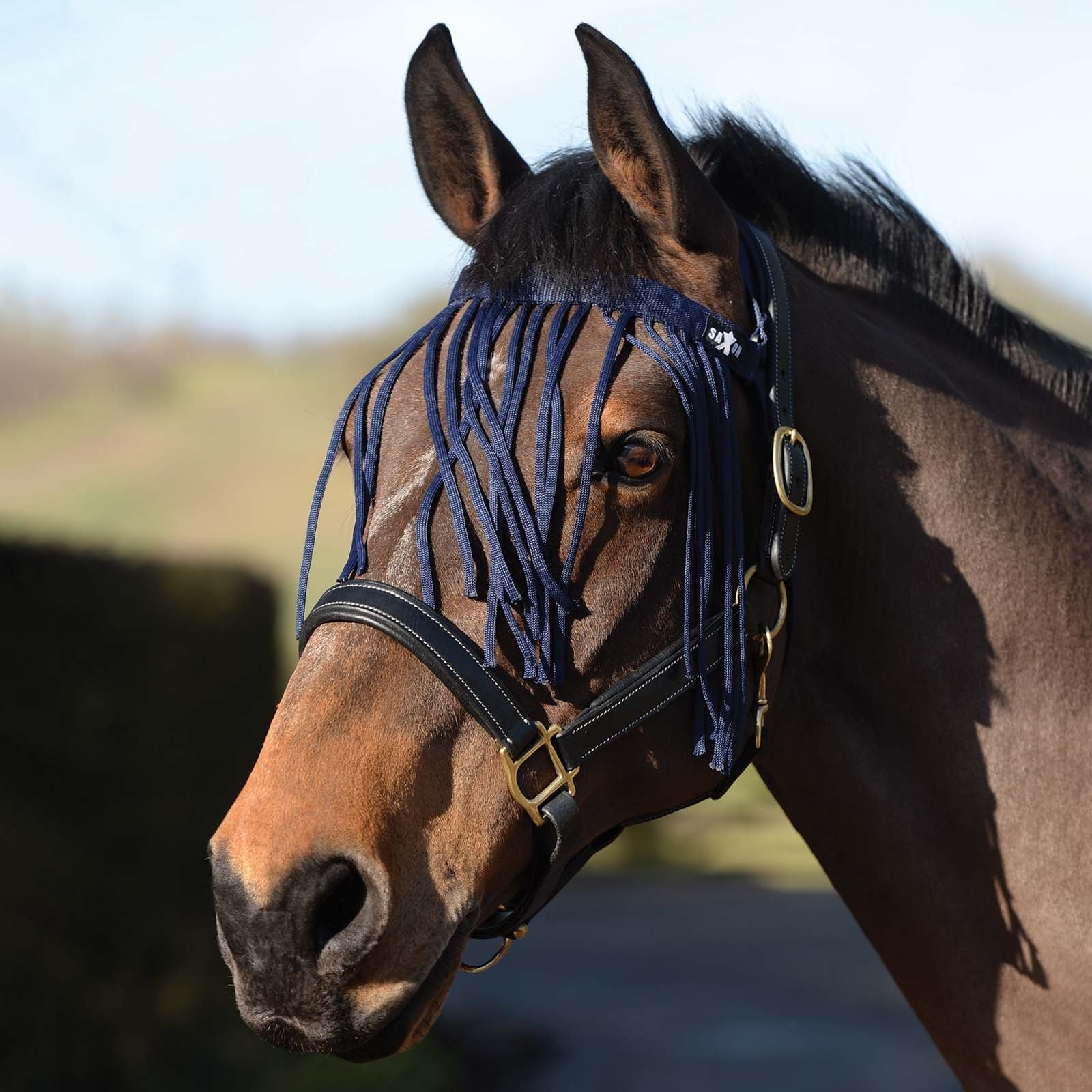 Saxon Fly Fringes Antifly Protection for Horses