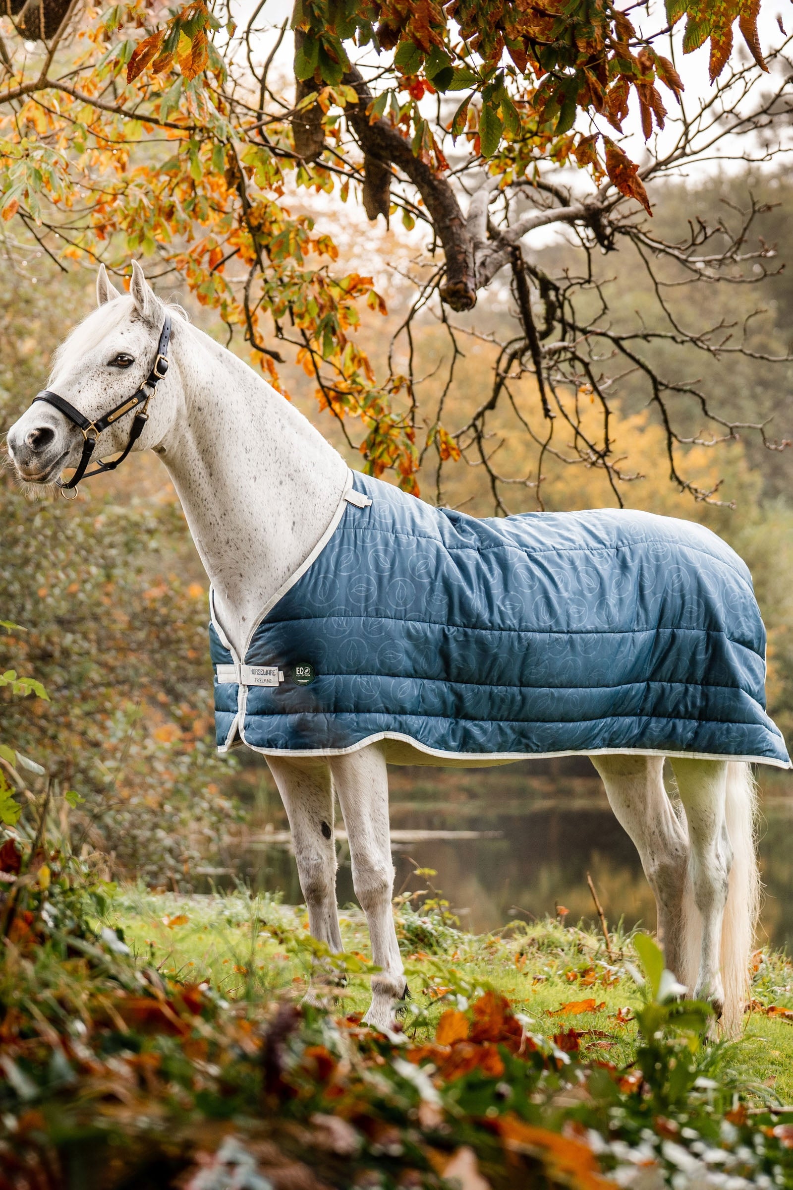 Horseware AmEco Liner, 100g Horse Rugs