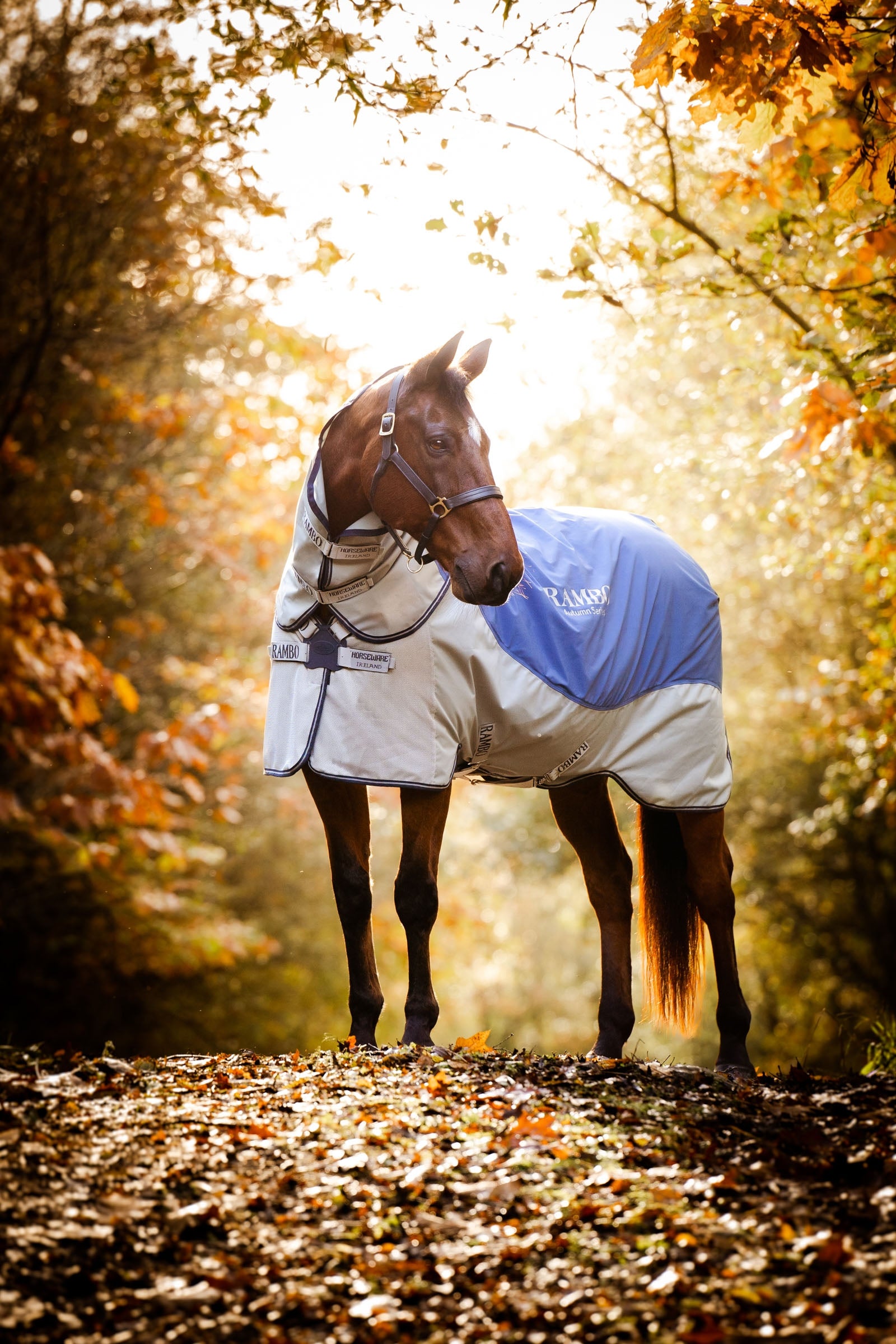 Horseware Rambo Autumn Series Turnout Rug With Liner (0g / 100g) Horse Rugs