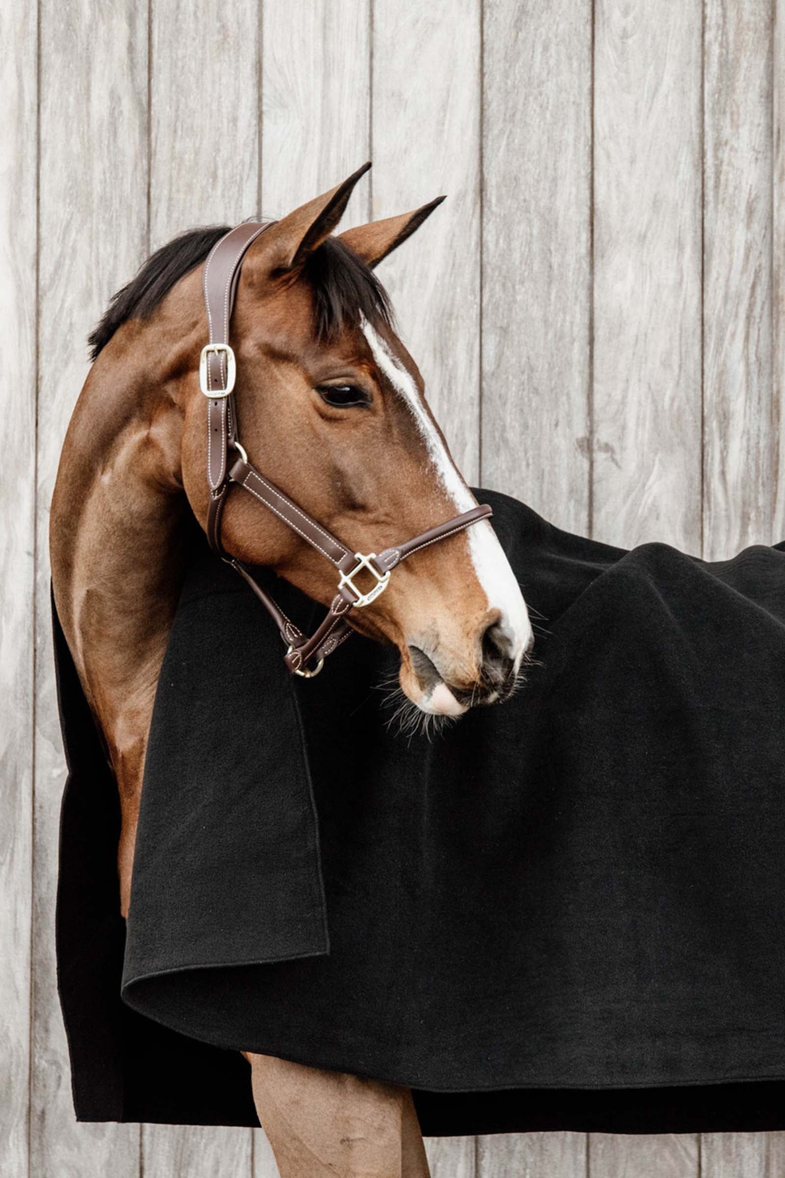 Kentucky Horsewear Heavy Fleece Rug Horse Rugs