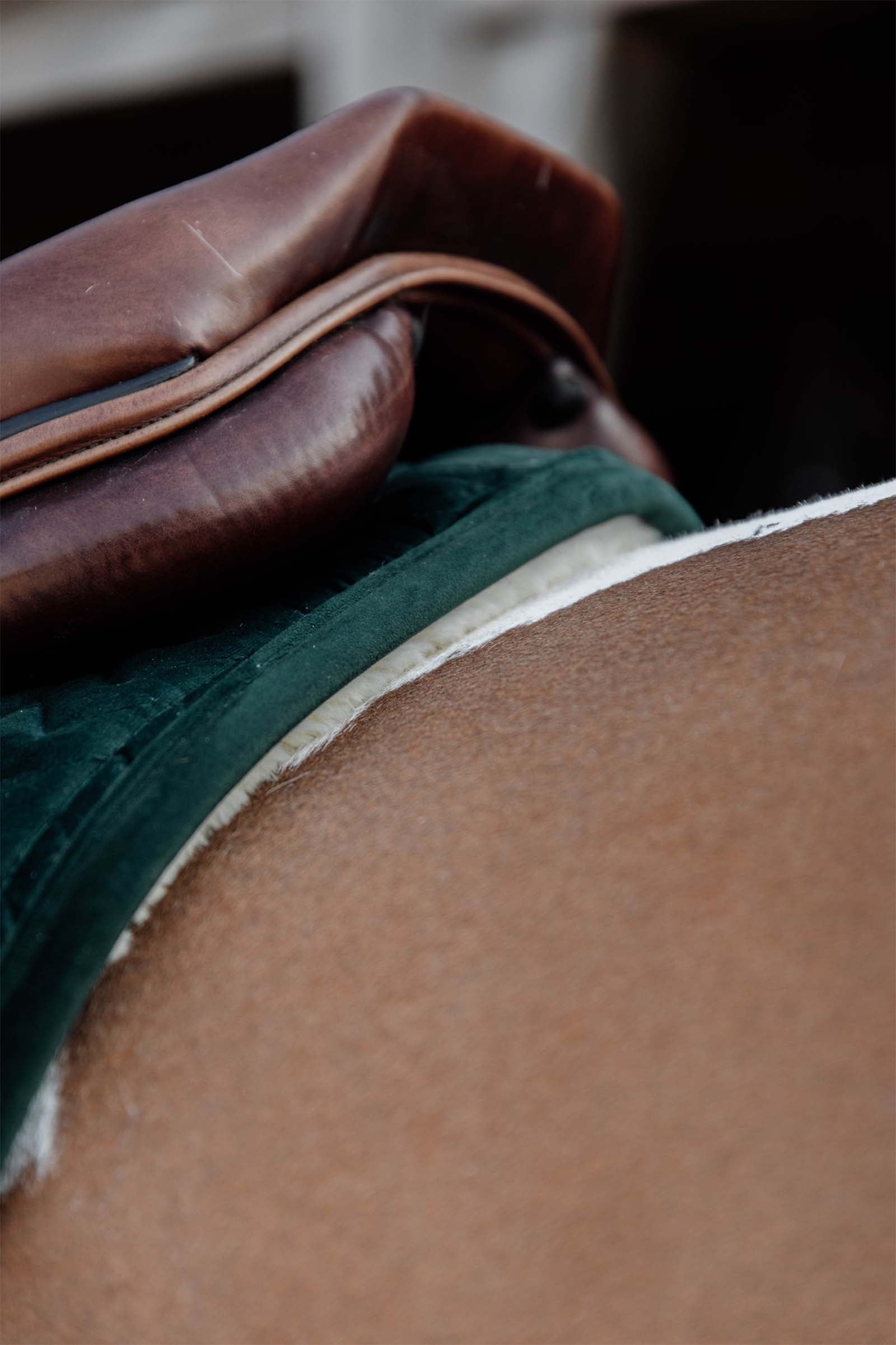 Kentucky Horsewear Velvet Skin Friendly Jumping Saddle Pad Saddle Pads