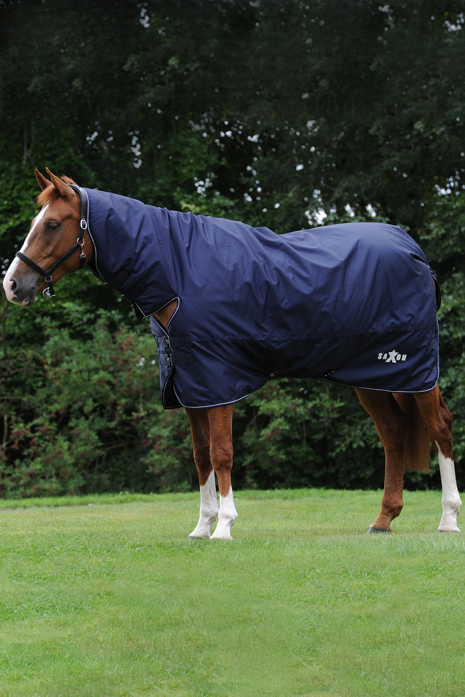 Saxon Defiant 600D Combo Neck Heavy Turnout Rug, 300g Horse Rugs