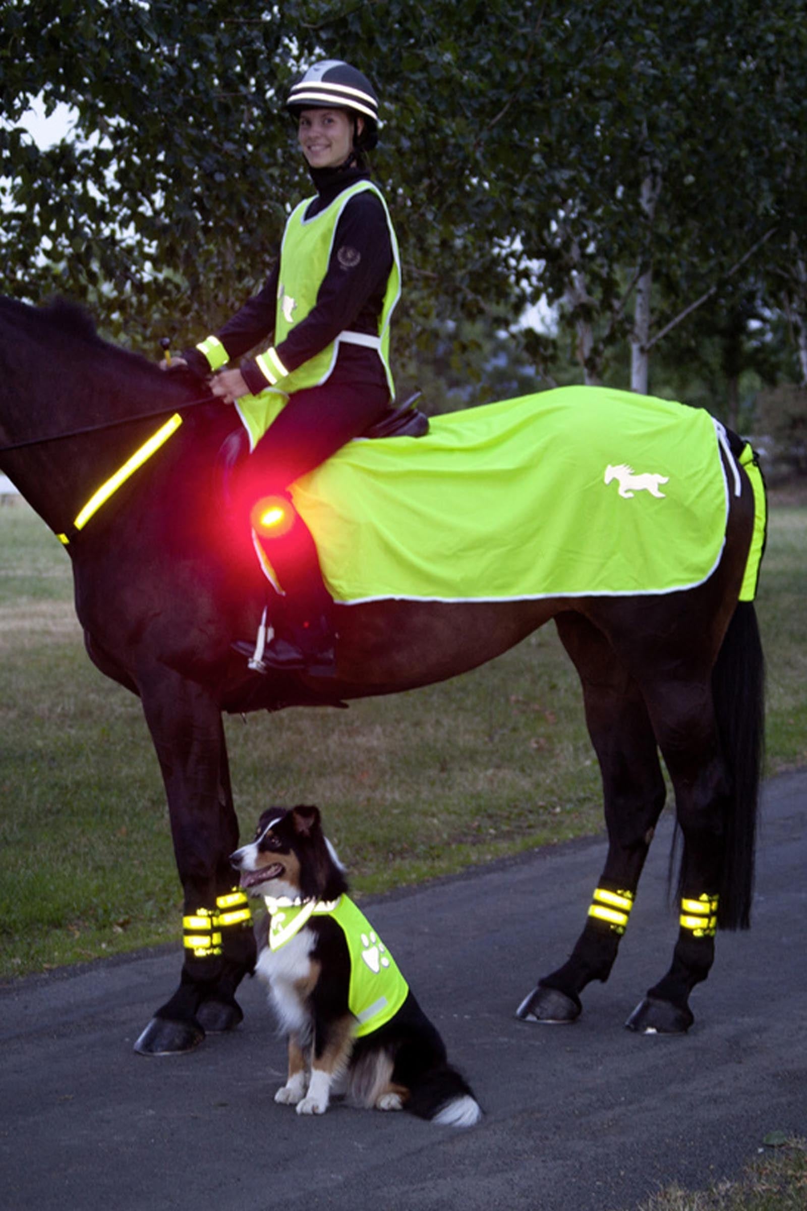 USG Reflective Rug Reflective