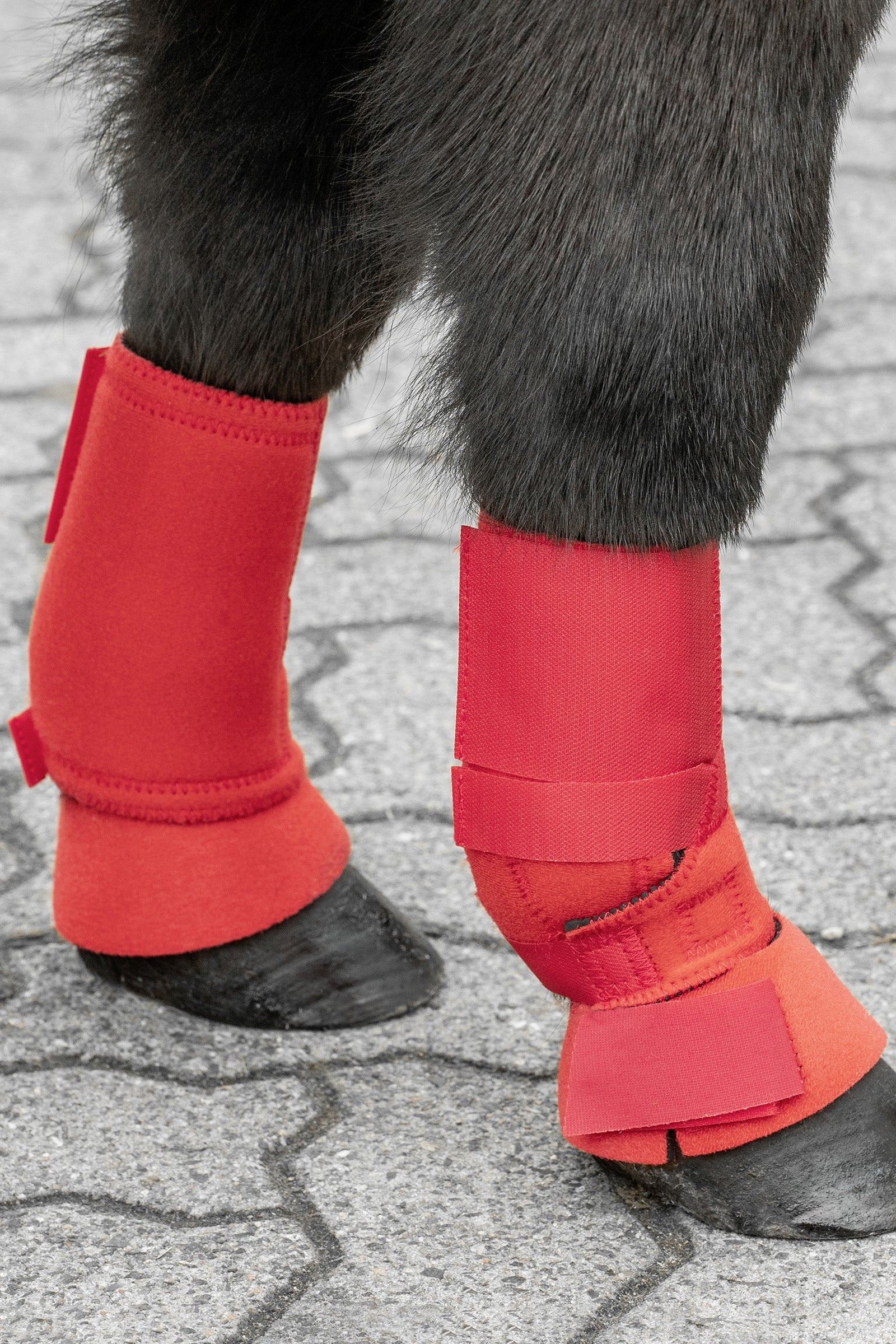 USG Shetty Exercise Boots Leg Protection & Hoof Protection for Horses