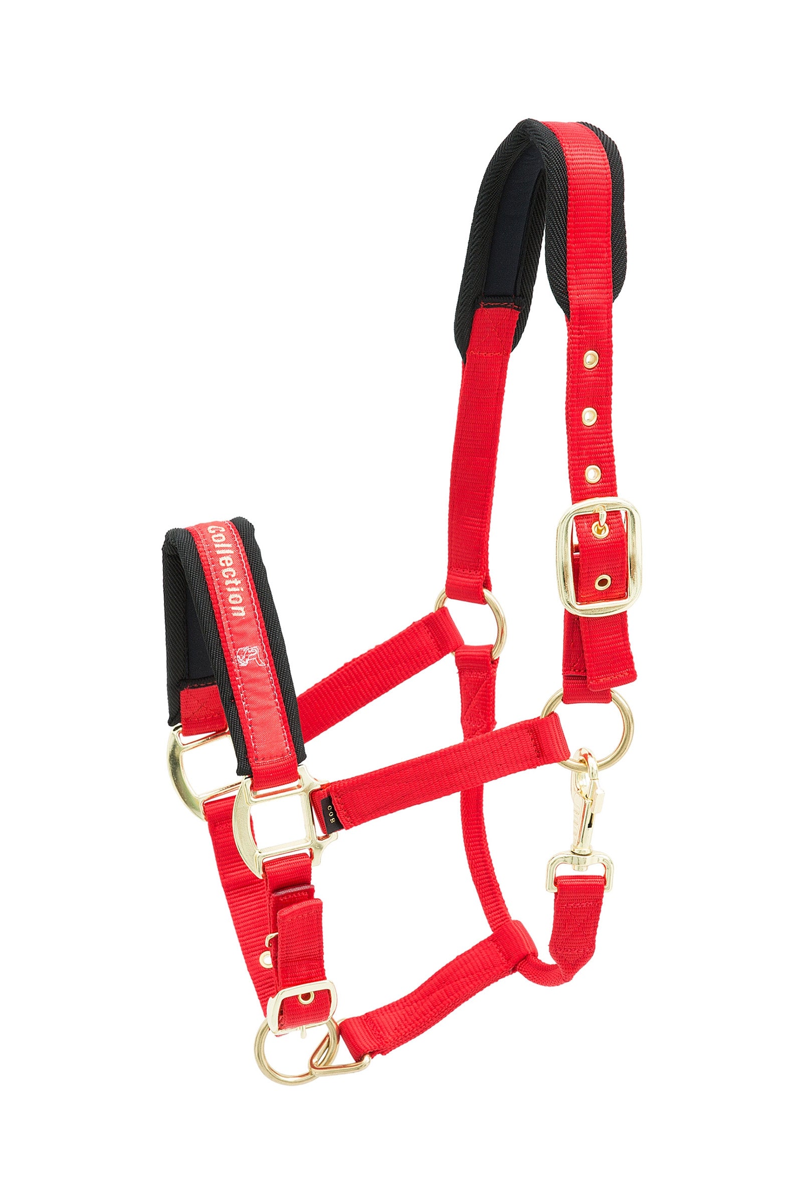 Kieffer Collection Nylon Headcollar Halters & Leads