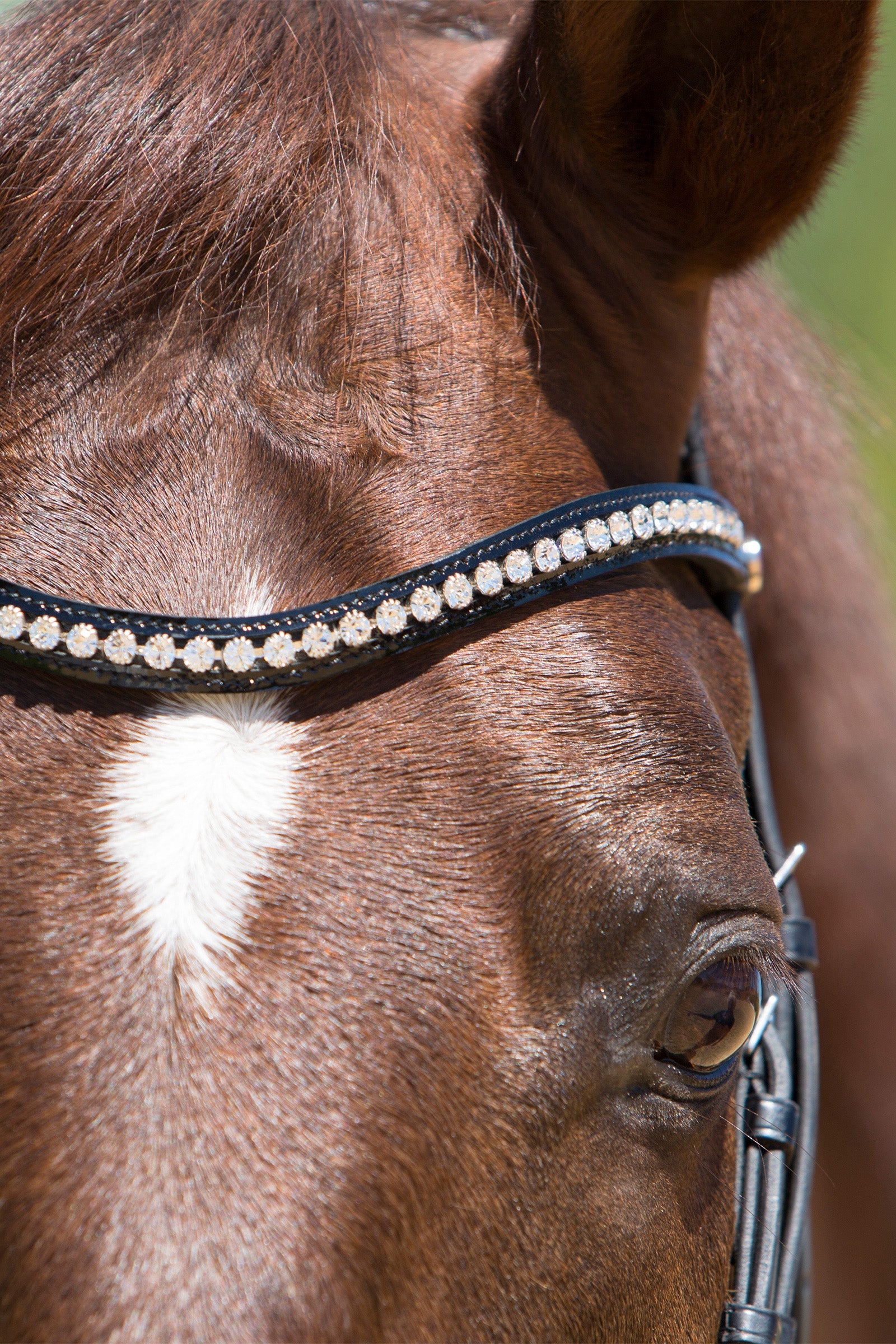 Kieffer Lea Bridle Bridles & Reins