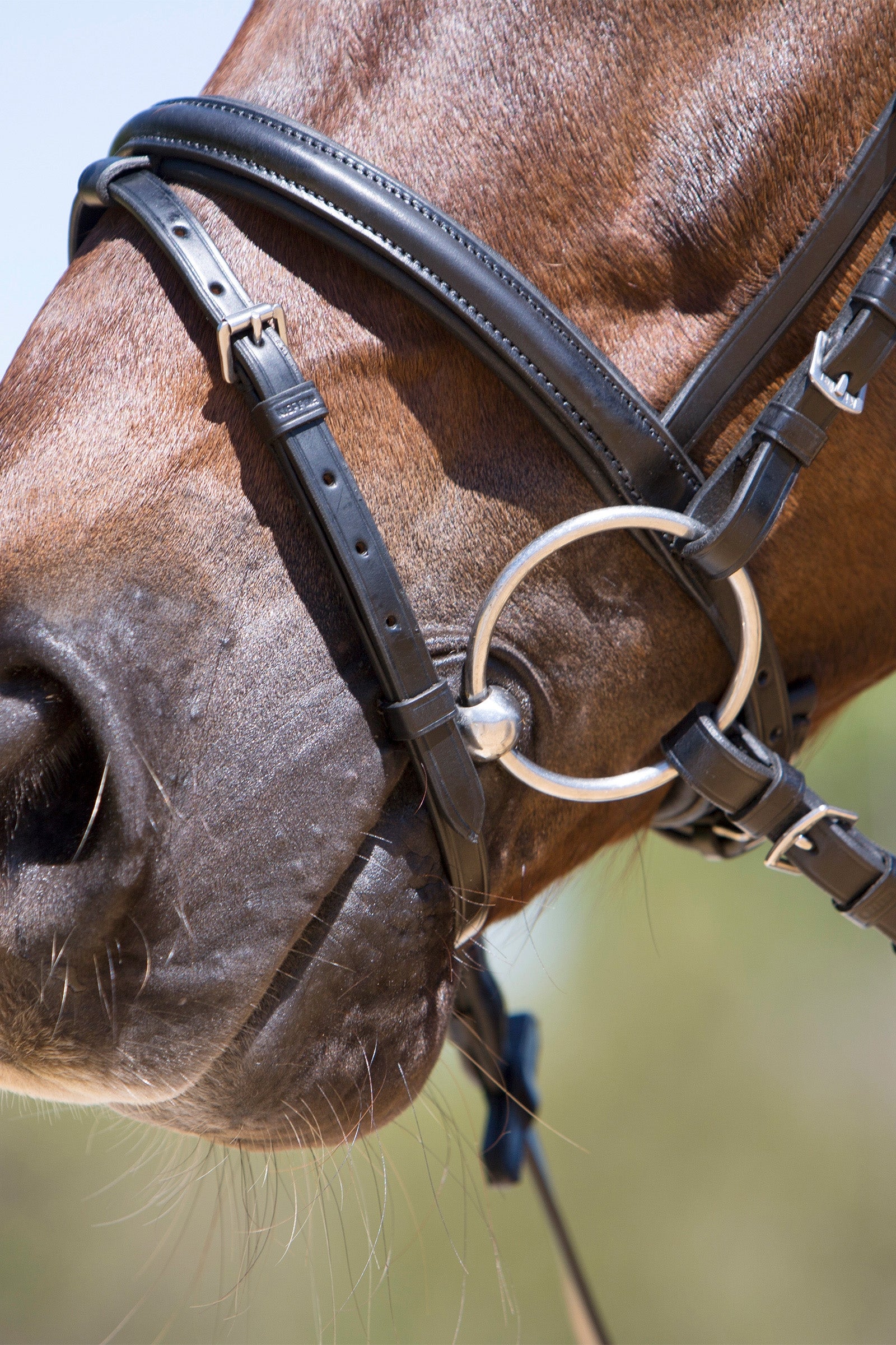 Kieffer Lea Bridle Bridles & Reins