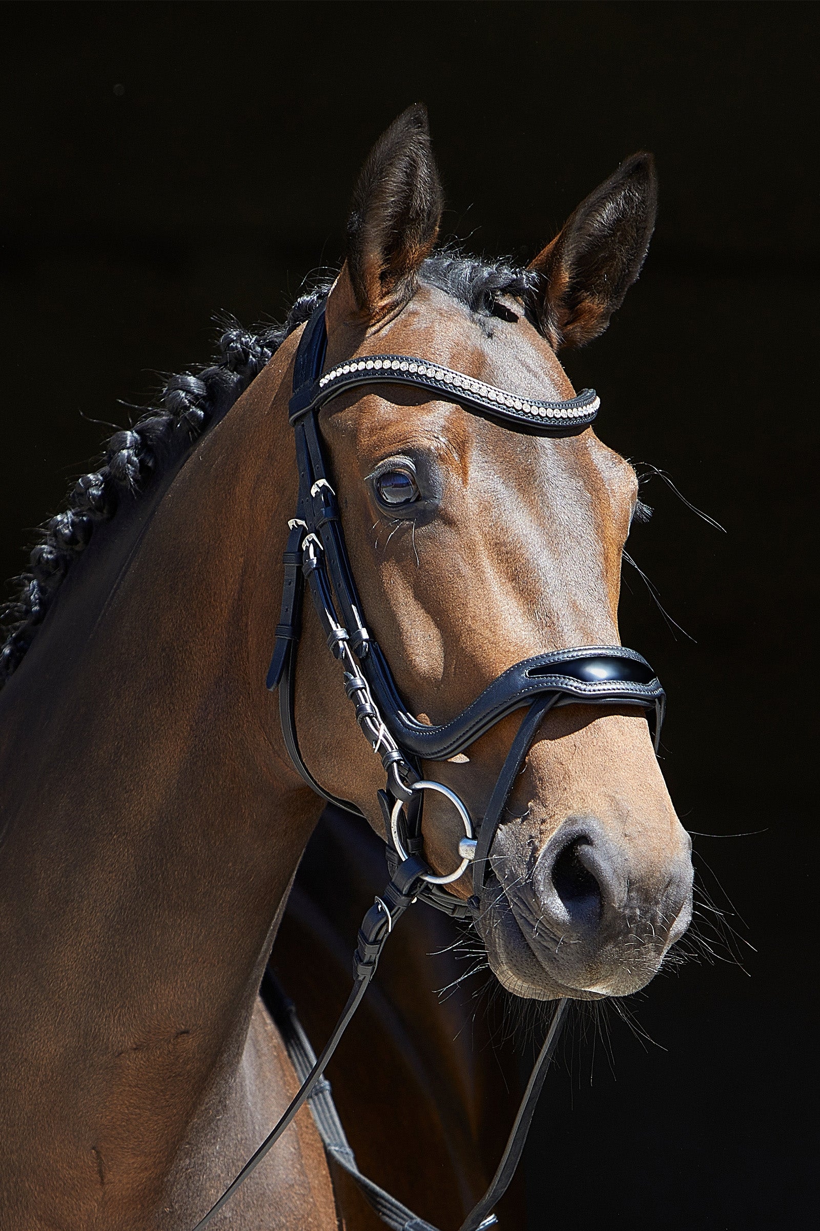 Kieffer Anouk Softtech Line Bridle Bridles & Reins