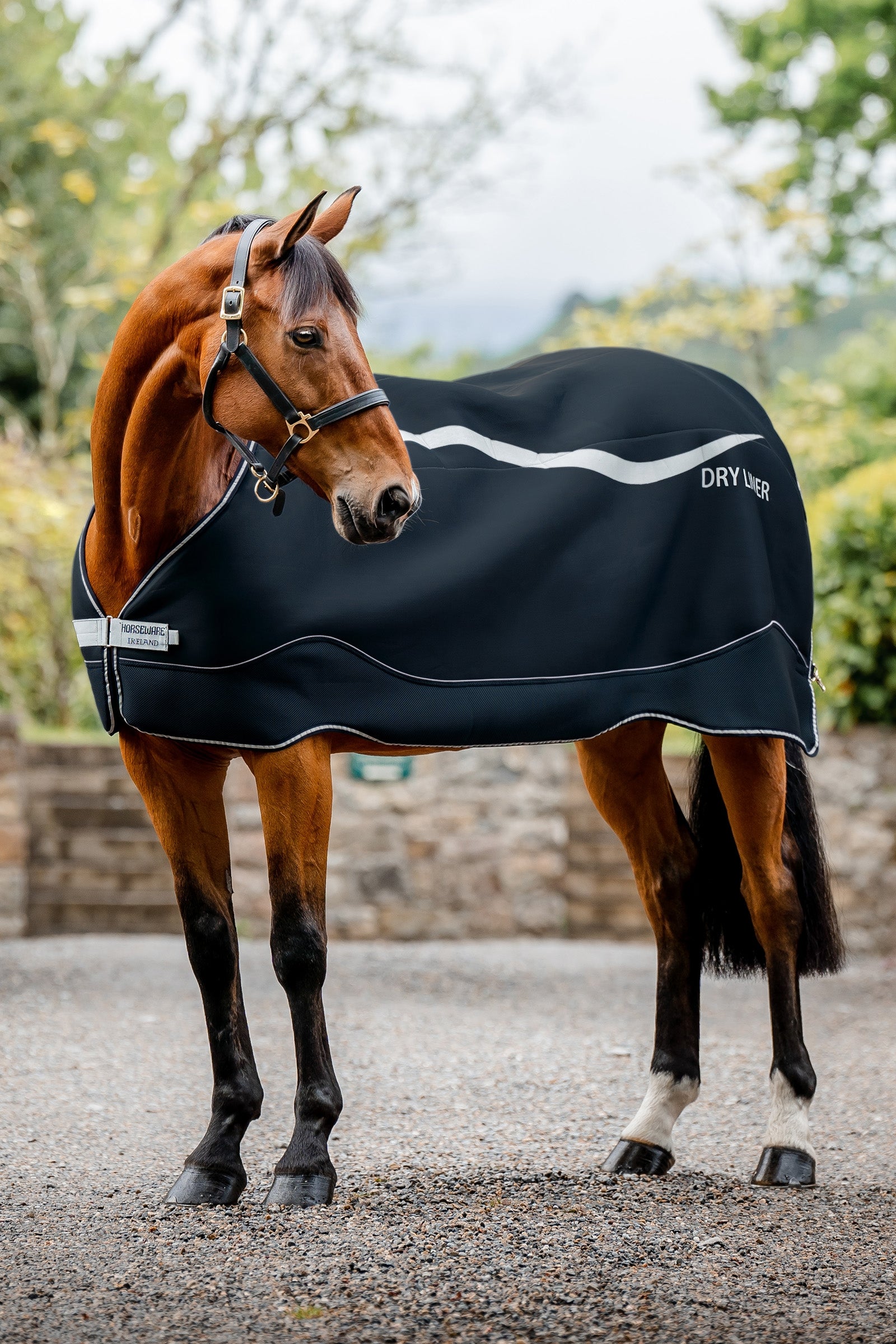 Horseware Dry Liner, 50 g Horse Rugs