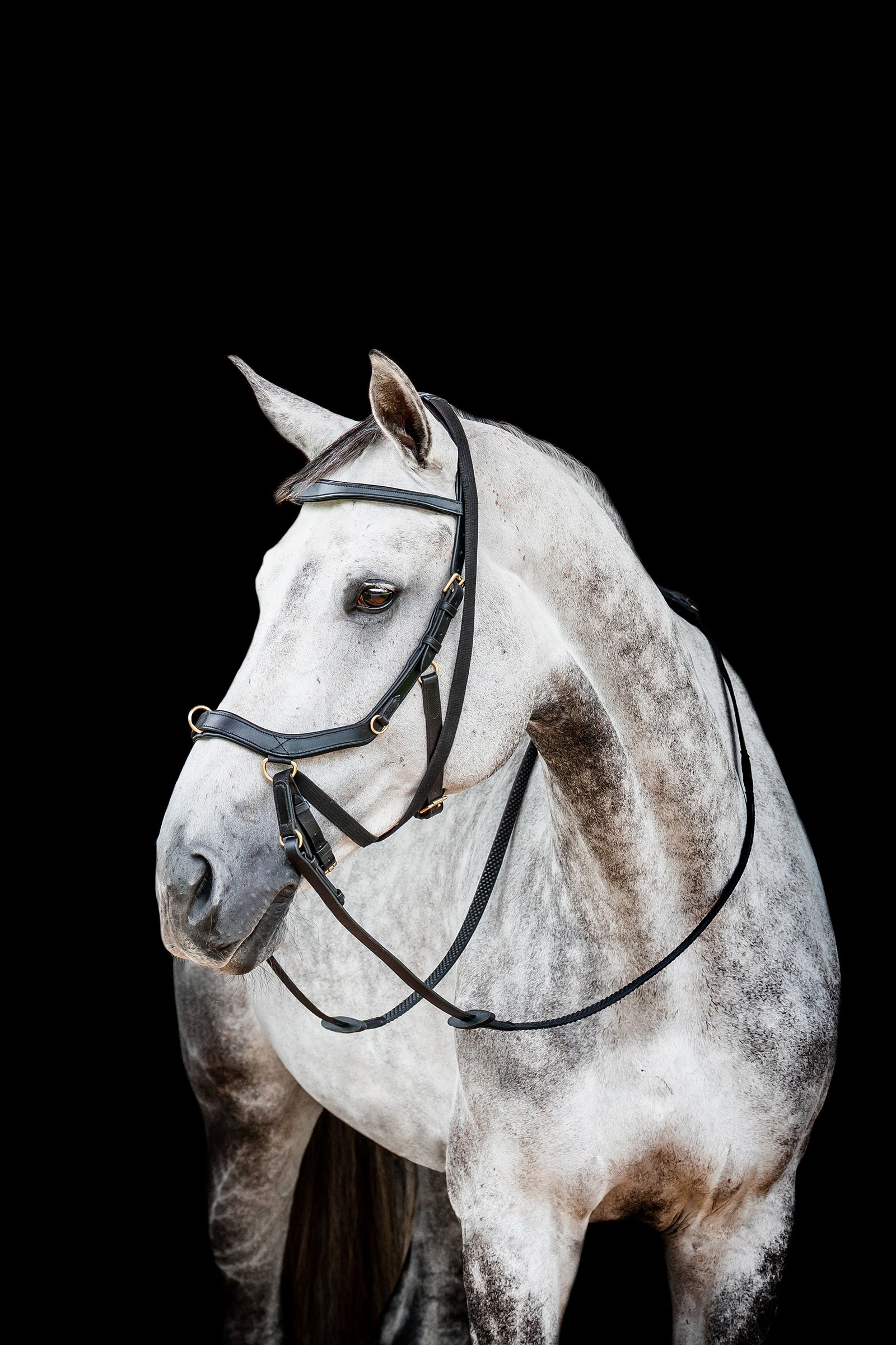 Horseware Micklem 2 Multi Bridle Bridles & Reins
