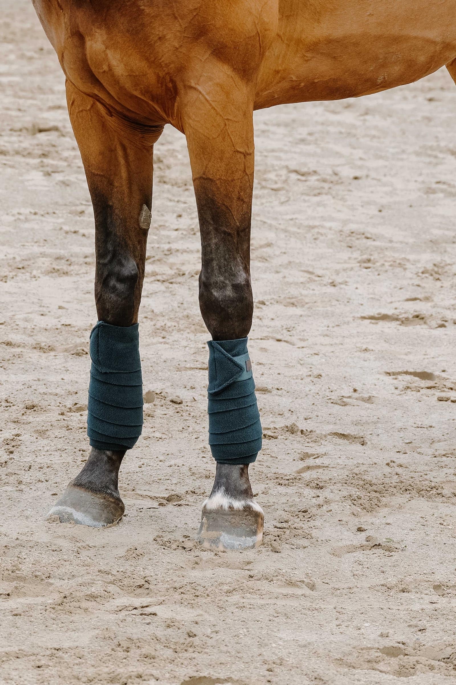 EQUITHÈME Polo Bands (3,0 m) Leg & Hoof Protection