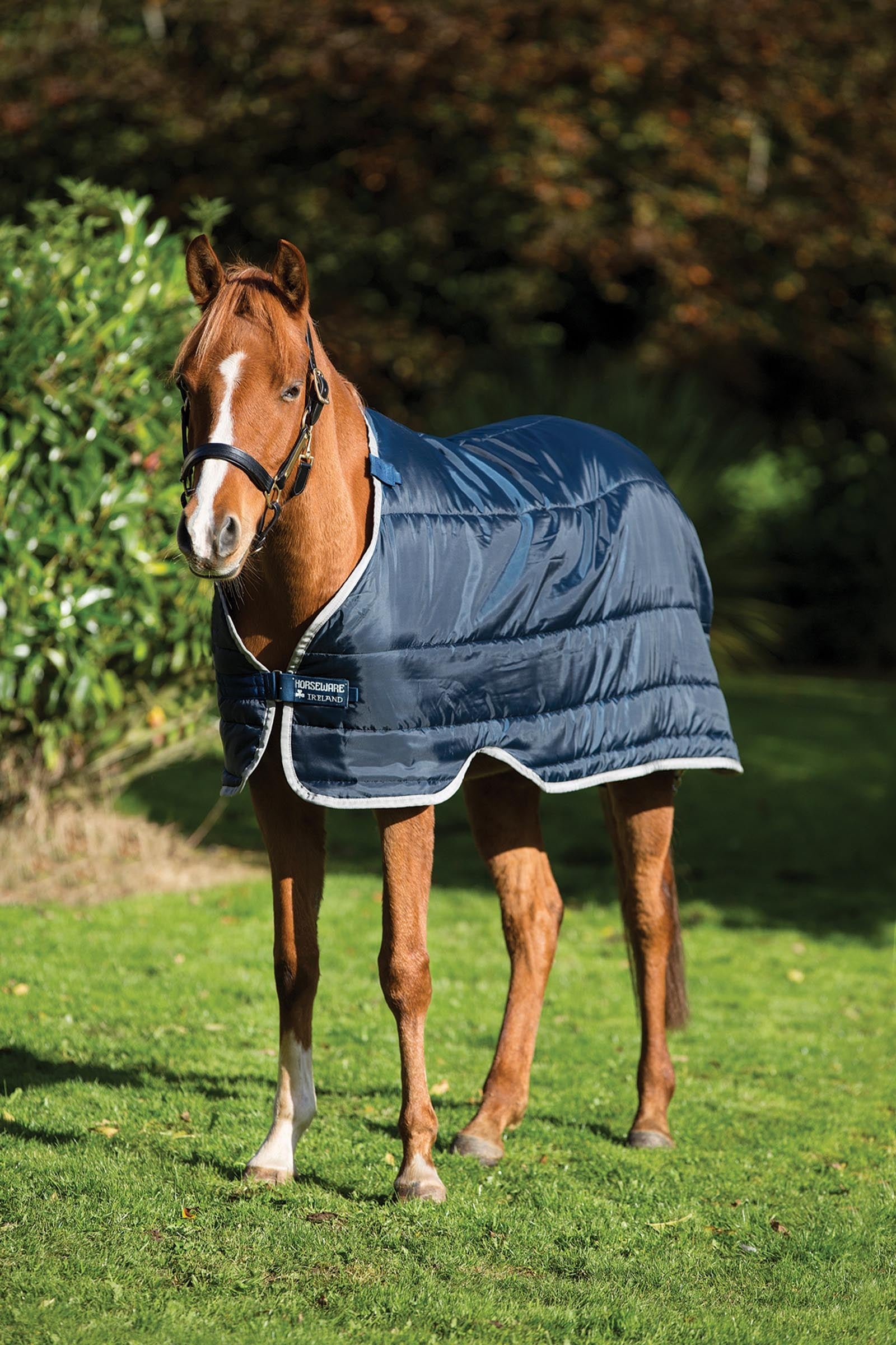 Horseware Pony Under Rug, 200g Horse Rugs
