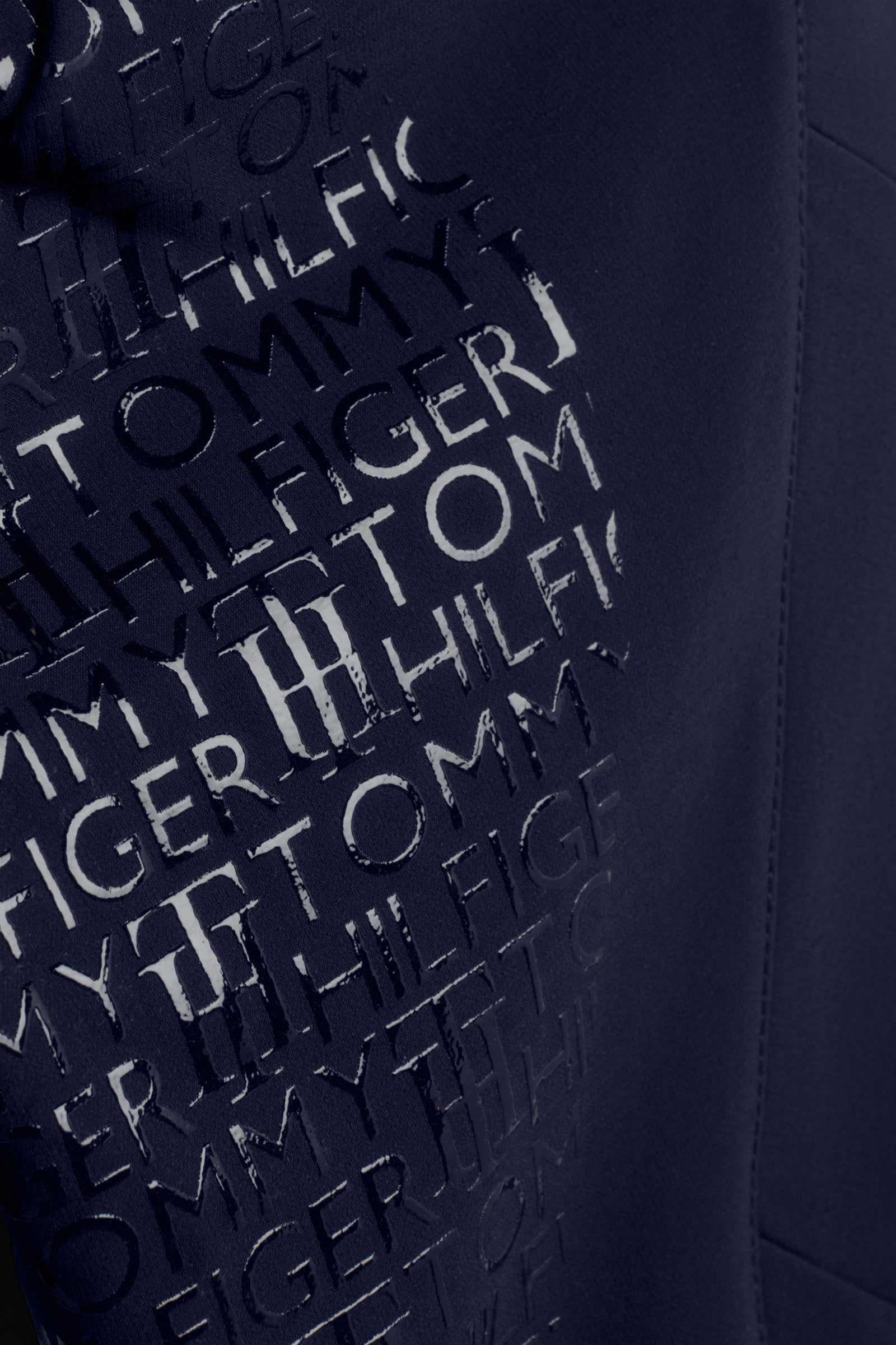 Alt Tag fallback text for IMAGE