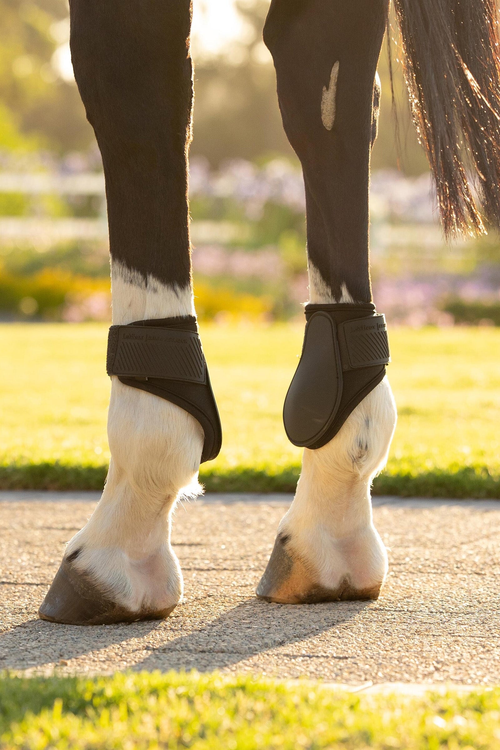 LeMieux Arika Fetlock Boots Leg & Hoof Protection