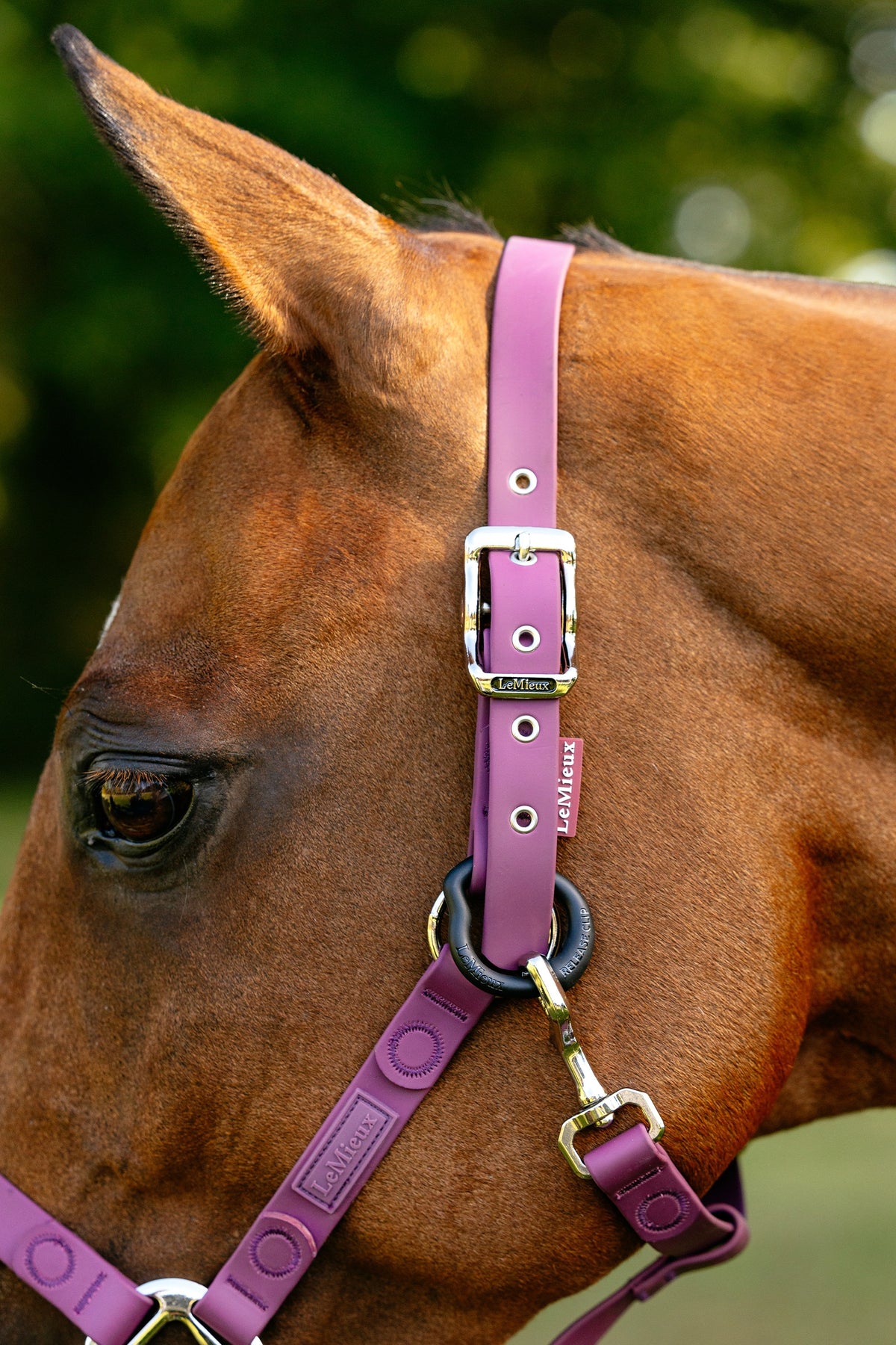 LeMieux FieldFlex Headcollar Halters & Leads