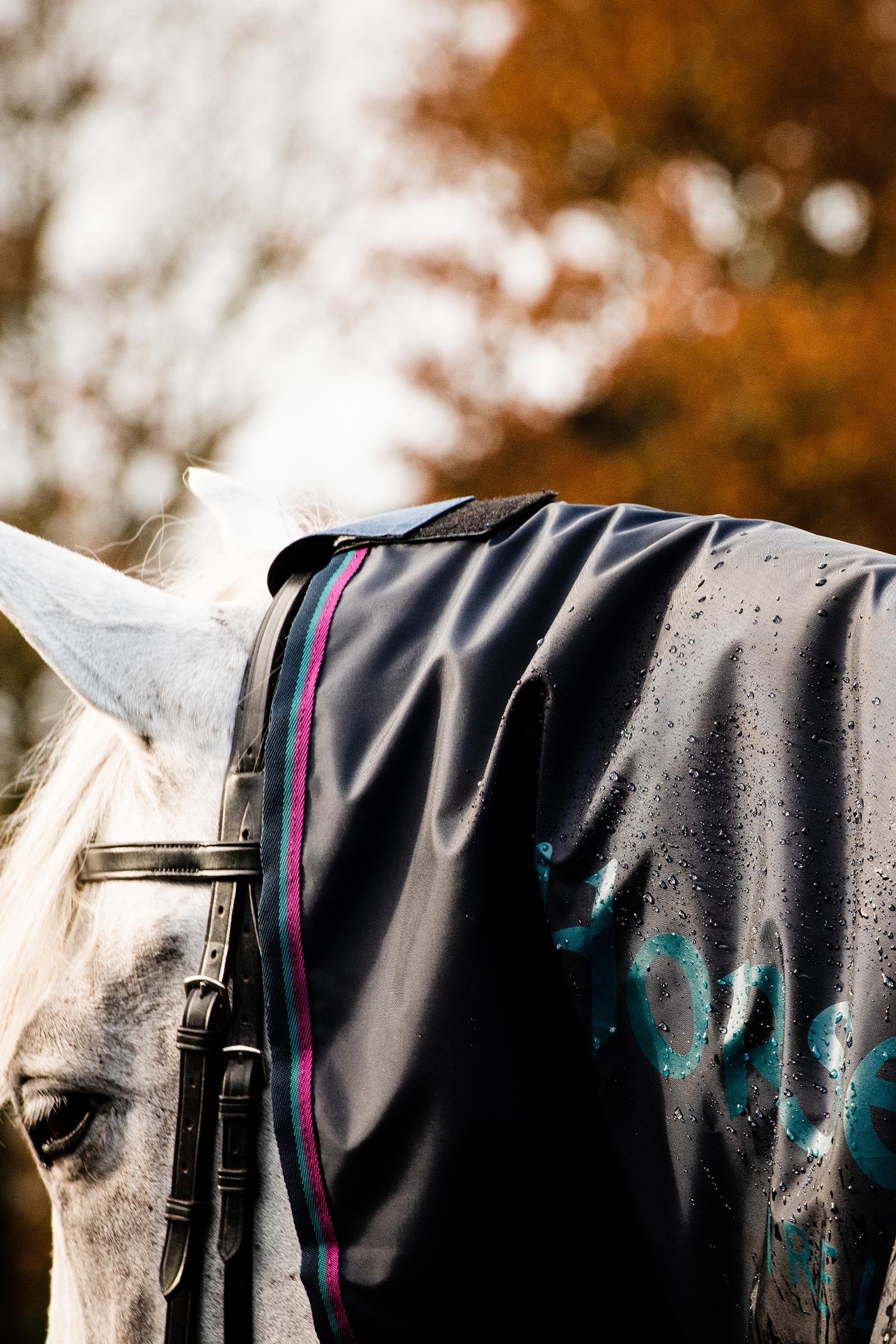 Horseware Rambo Mack in a Sack Rain Rug Horse Rugs