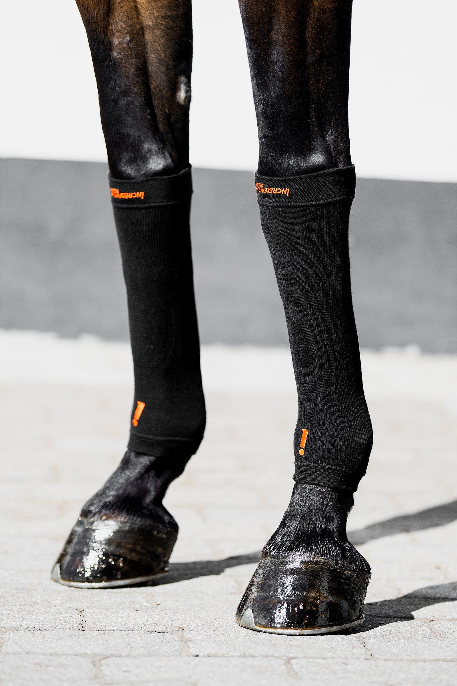 Incrediwear Equine Hoof Socks Leg & Hoof Protection