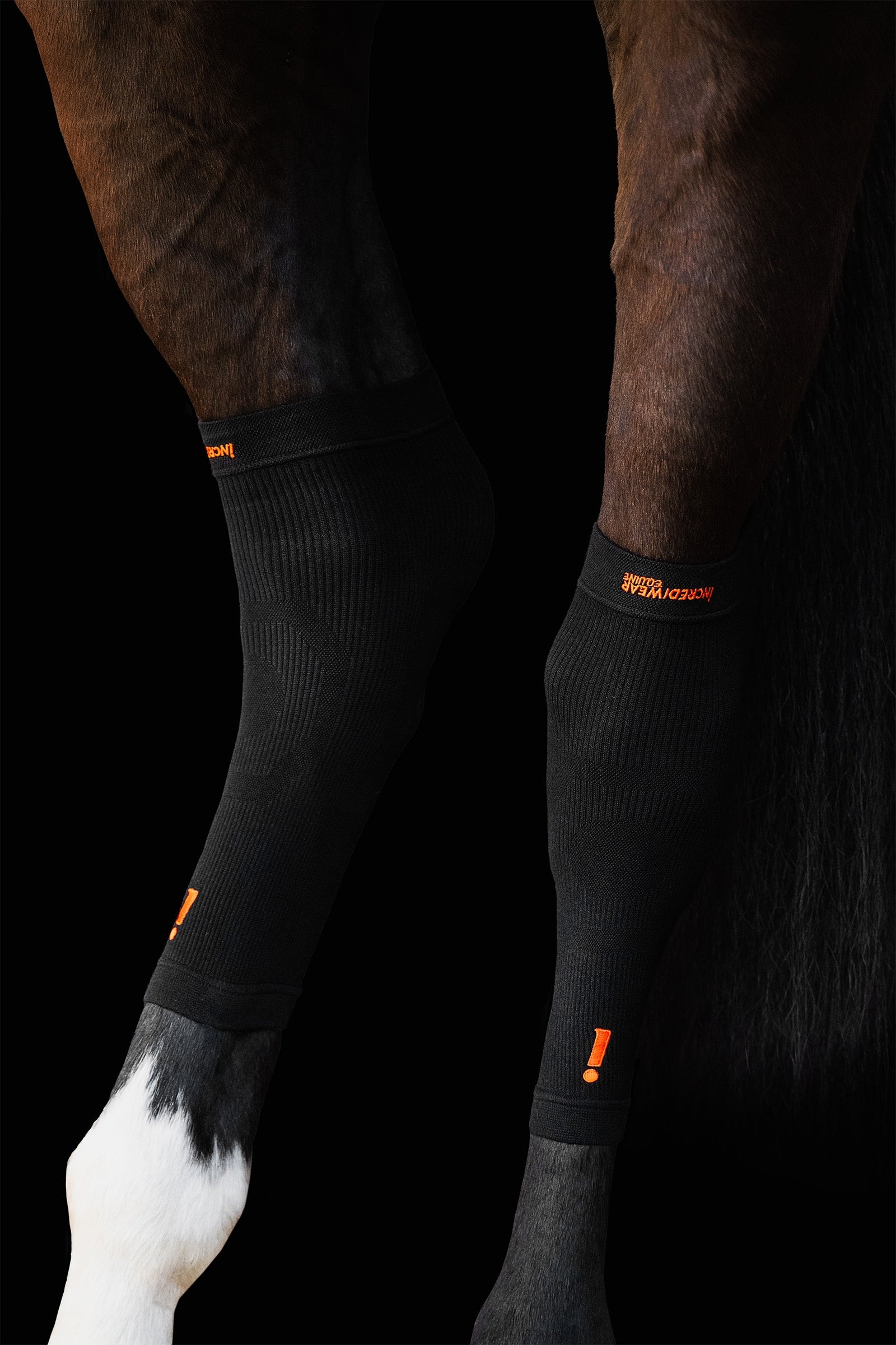 Incrediwear Equine Hoof Socks Leg & Hoof Protection