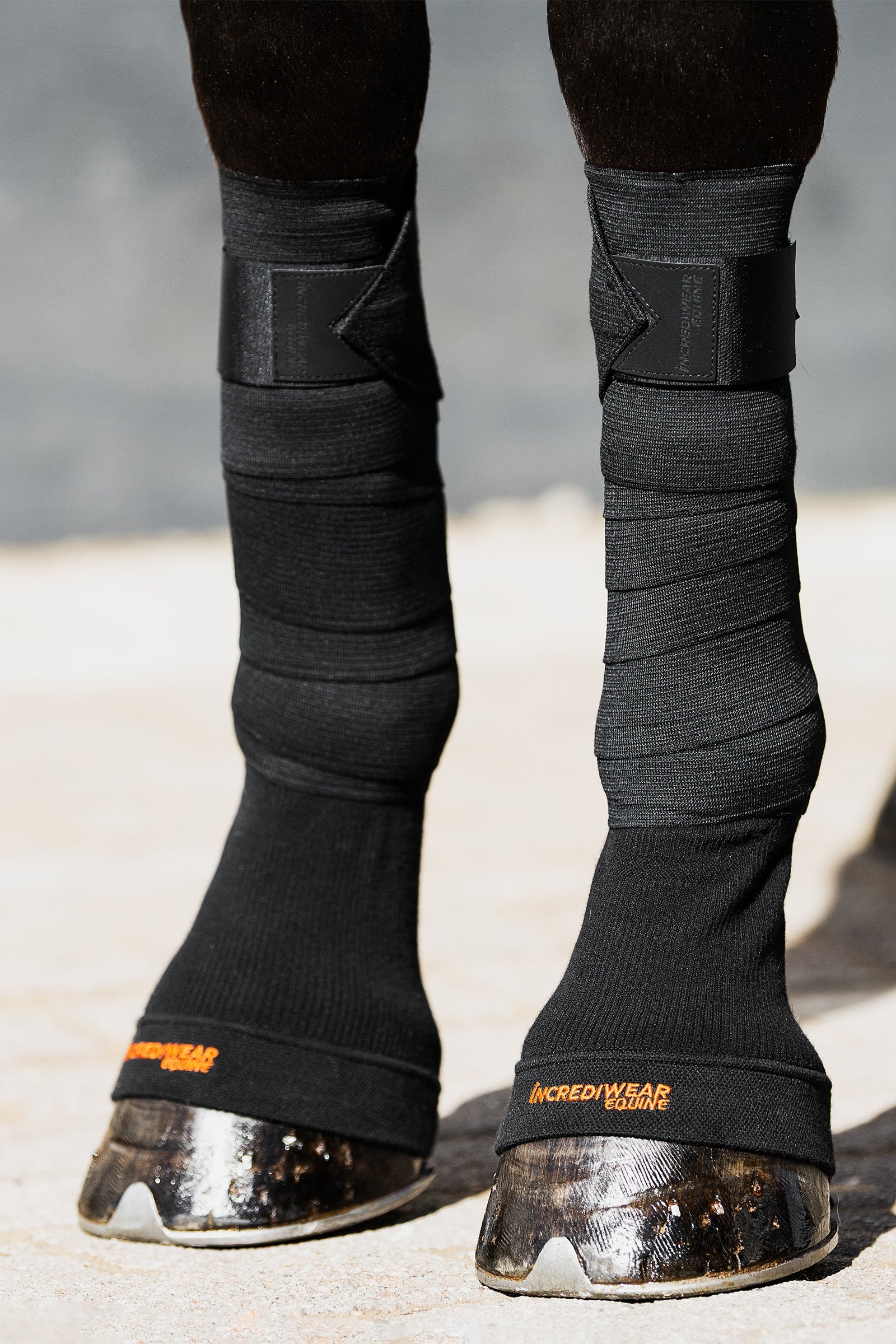 Incrediwear Equine Hoof Socks Leg & Hoof Protection