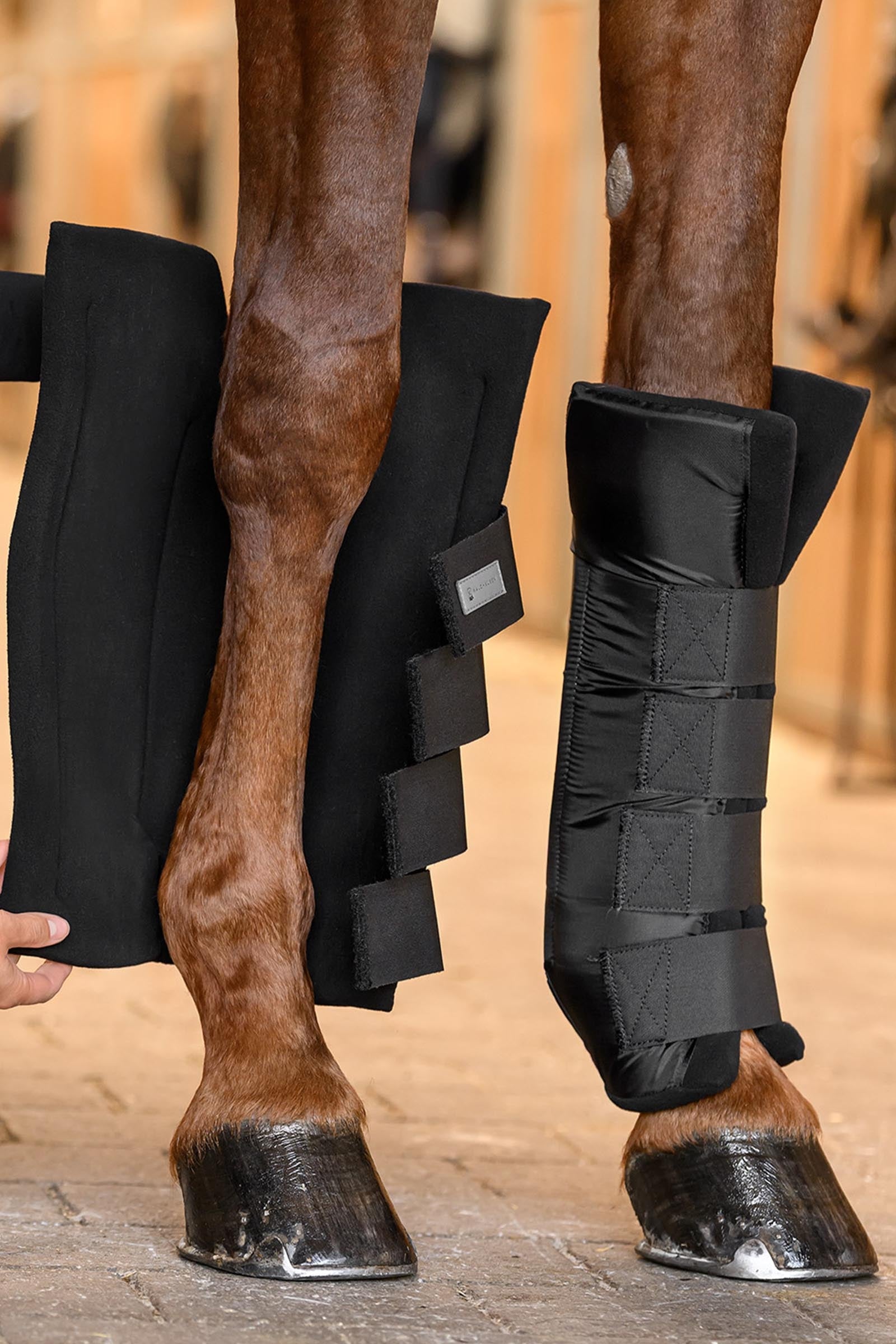Waldhausen Back Stable Boots with Joint Support Leg Protection & Hoof Protection for Horses