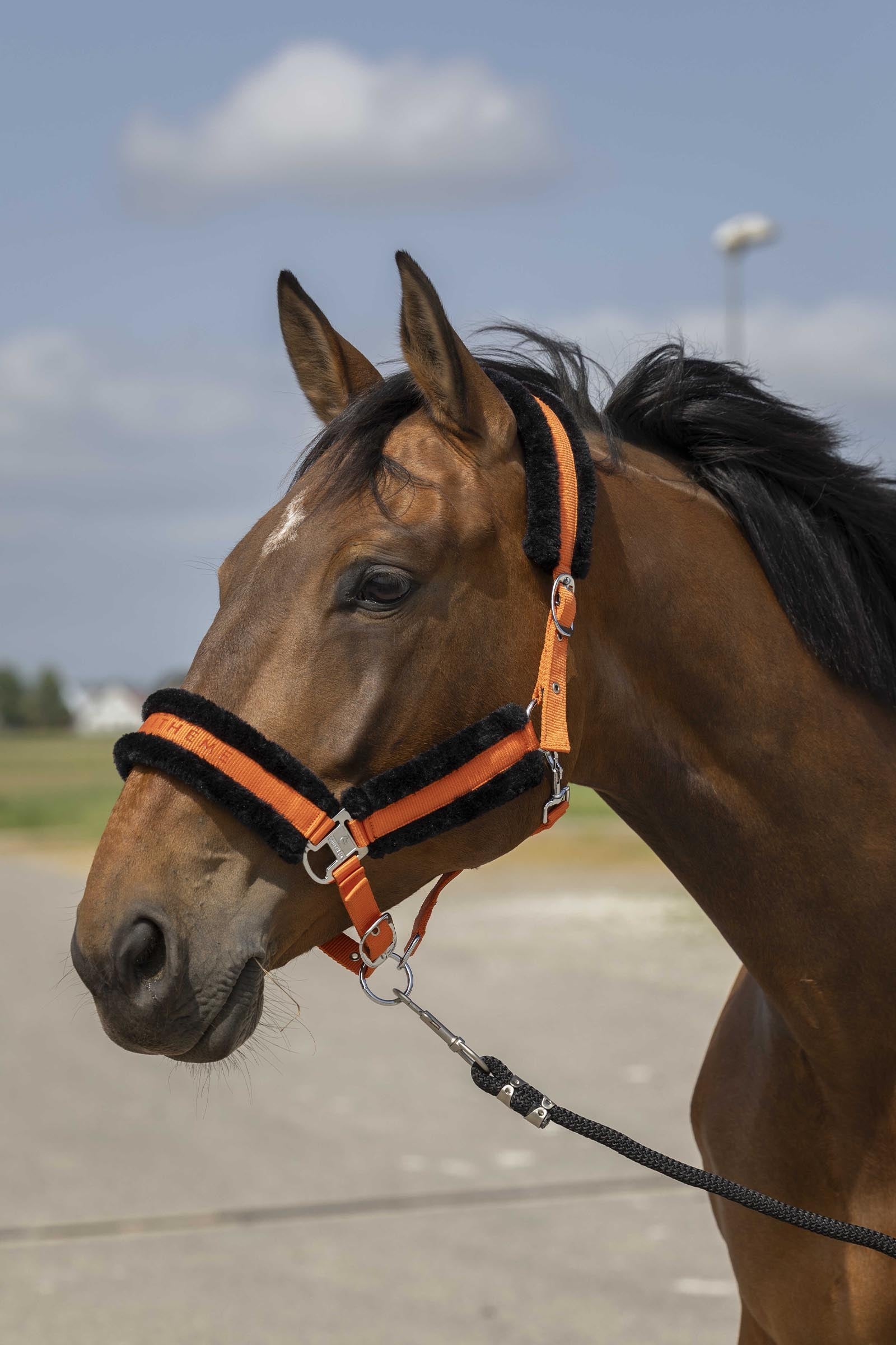 Equi Theme EQUITHÈME Nylon Mouton Halter Halters & Leads