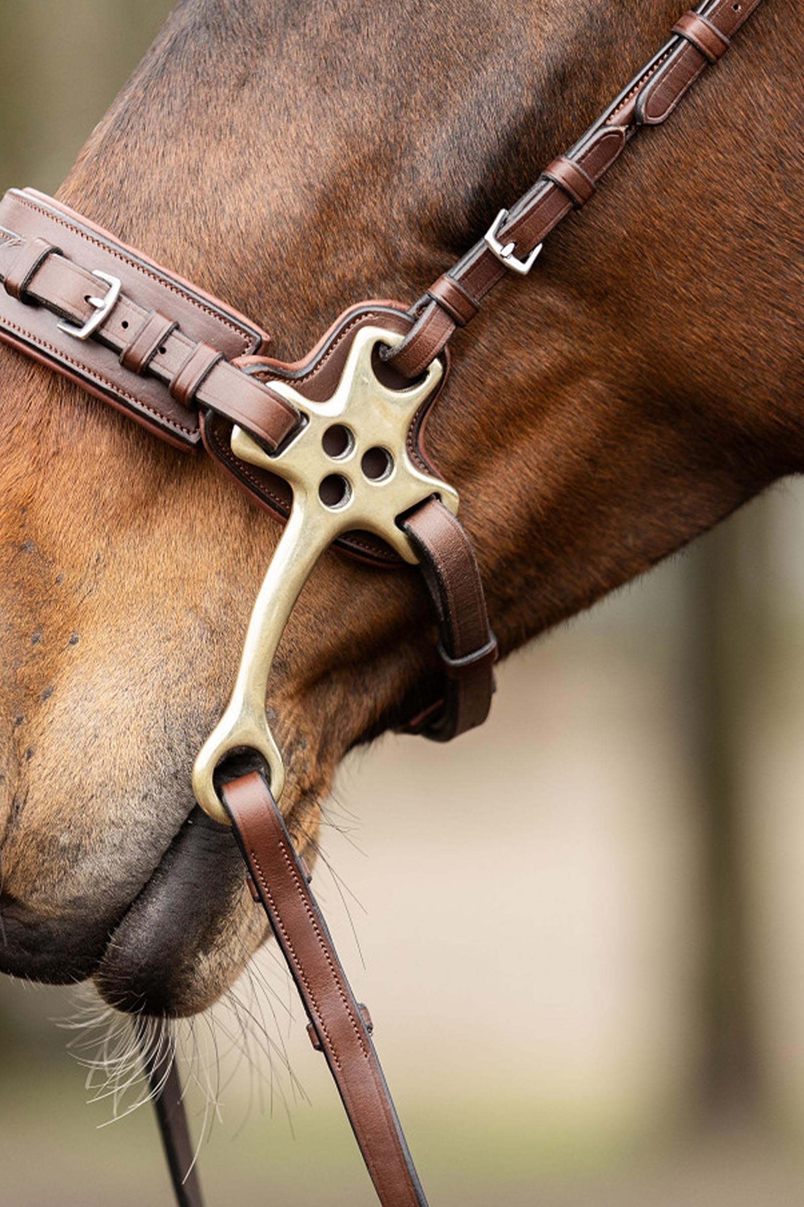 Trust Equestrian Bridle Sopot Hackamore Bridle, Cheeks 16 Cm Bridles & Reins