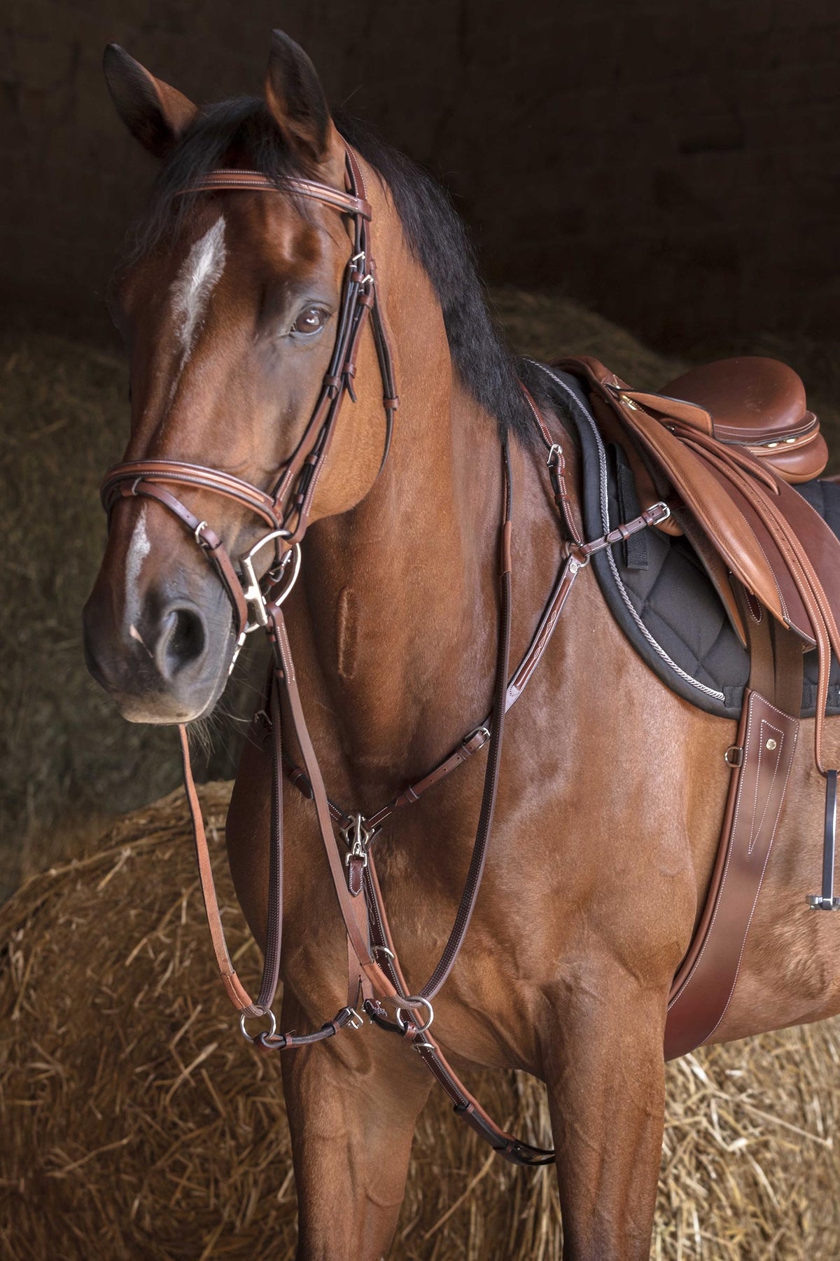 ERIC THOMAS HYBRID Breastplate Bridles & Reins