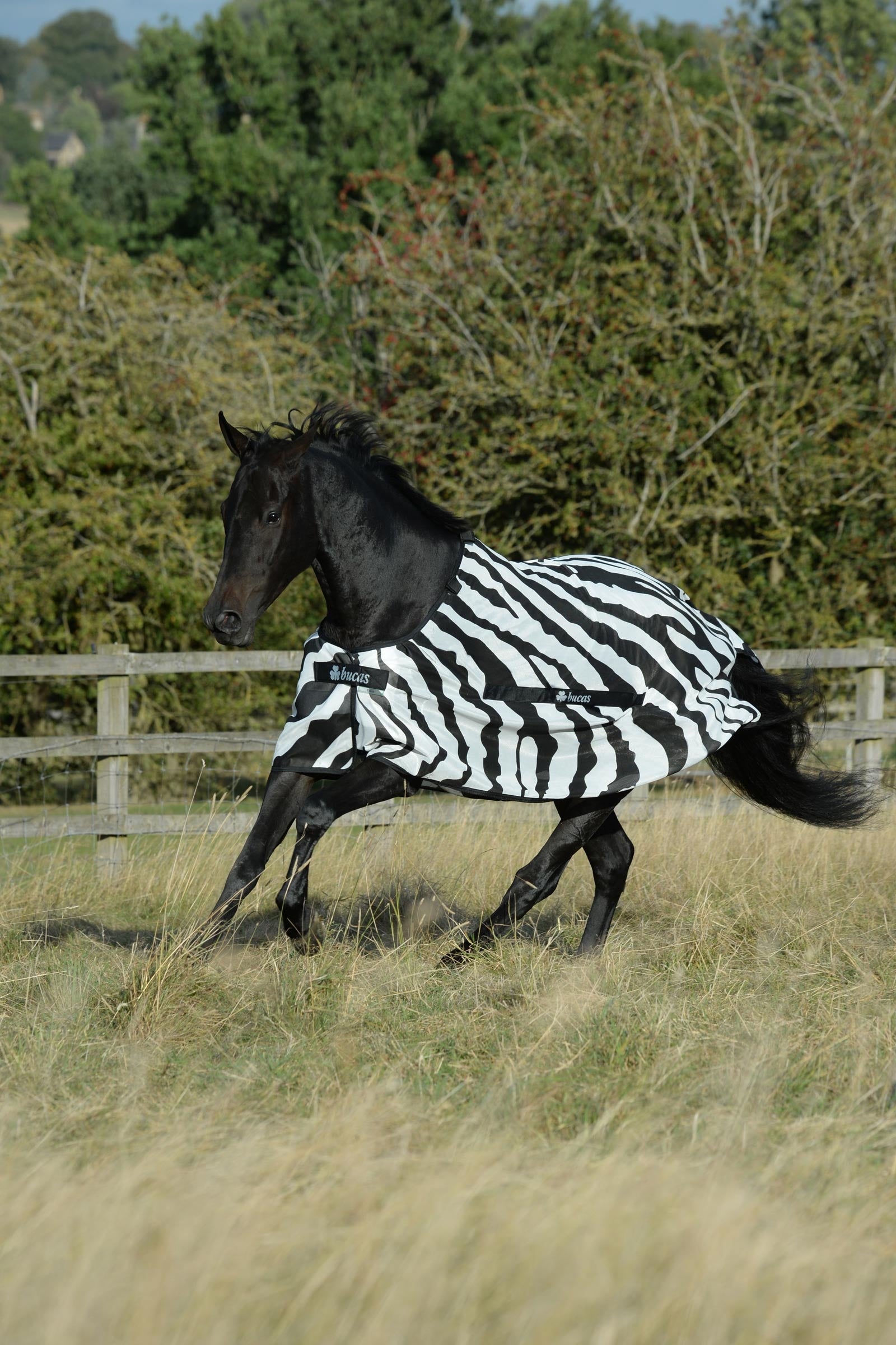 Bucas Buzz-Off Zebra Fly Rug With Full Neck Horse Rugs