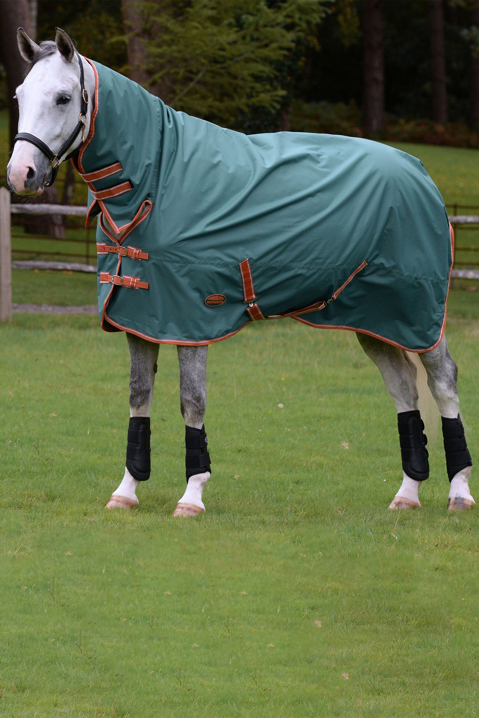 Weatherbeeta Comfitec Tyro Combo Neck Lite Plus Horse Rugs